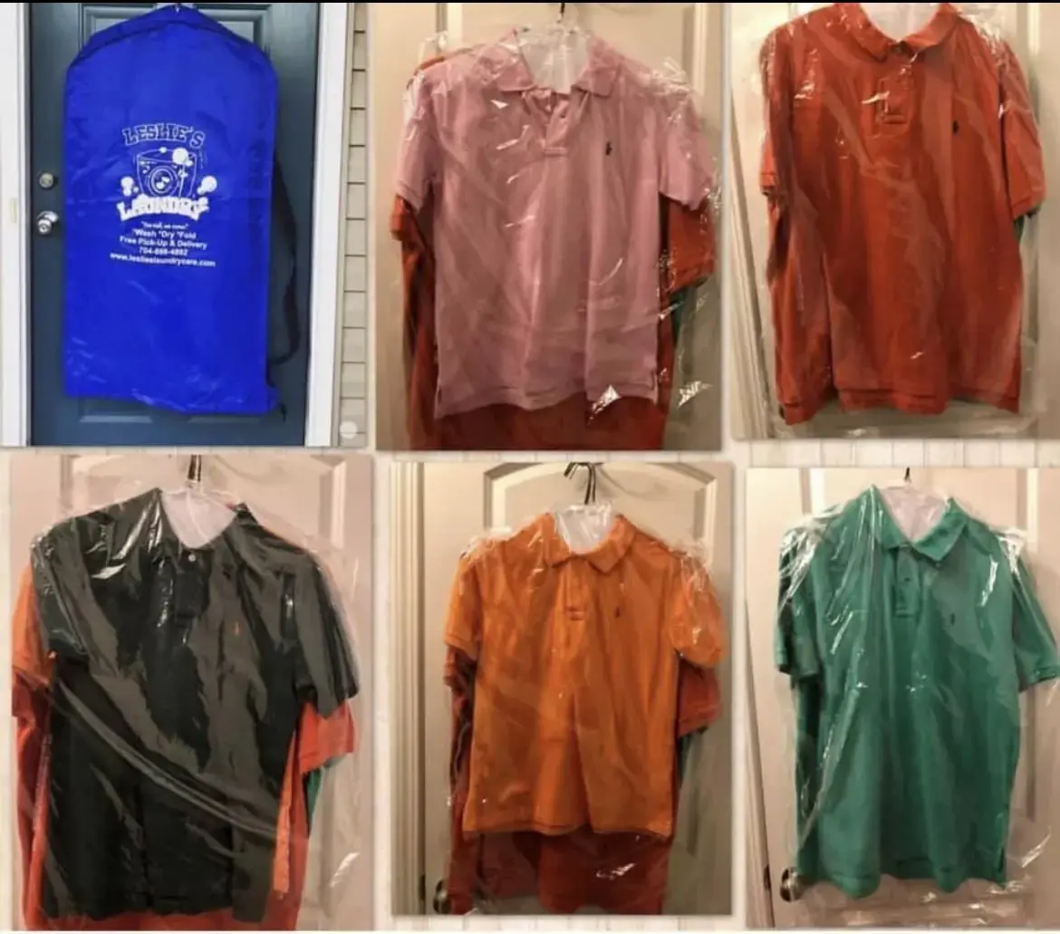 Leslie's Laundry Care thumbnail 10