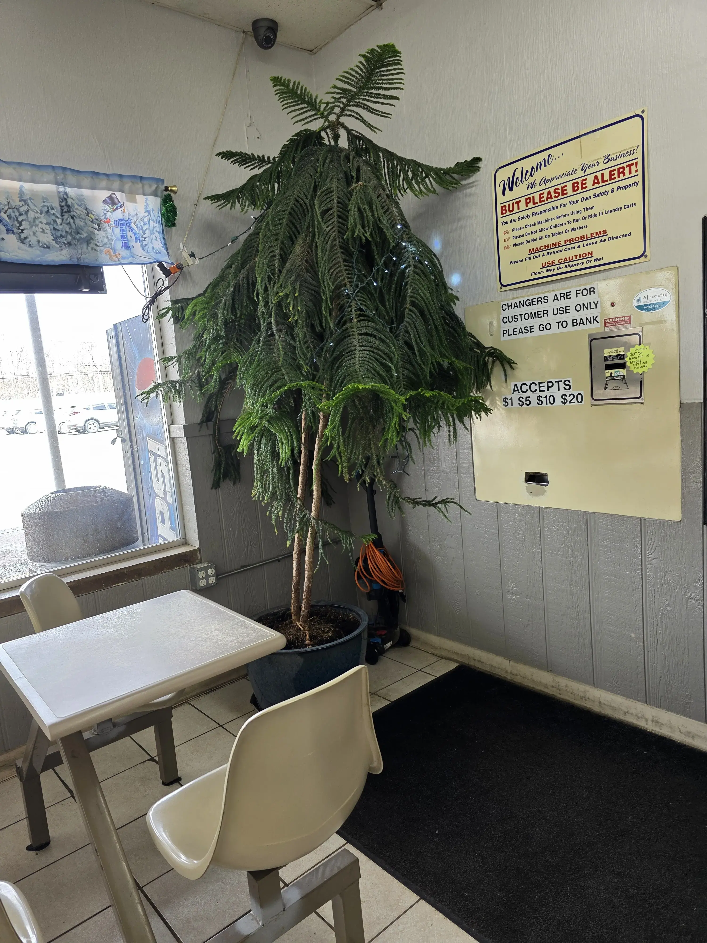 Lexington Laundromat - Image 7