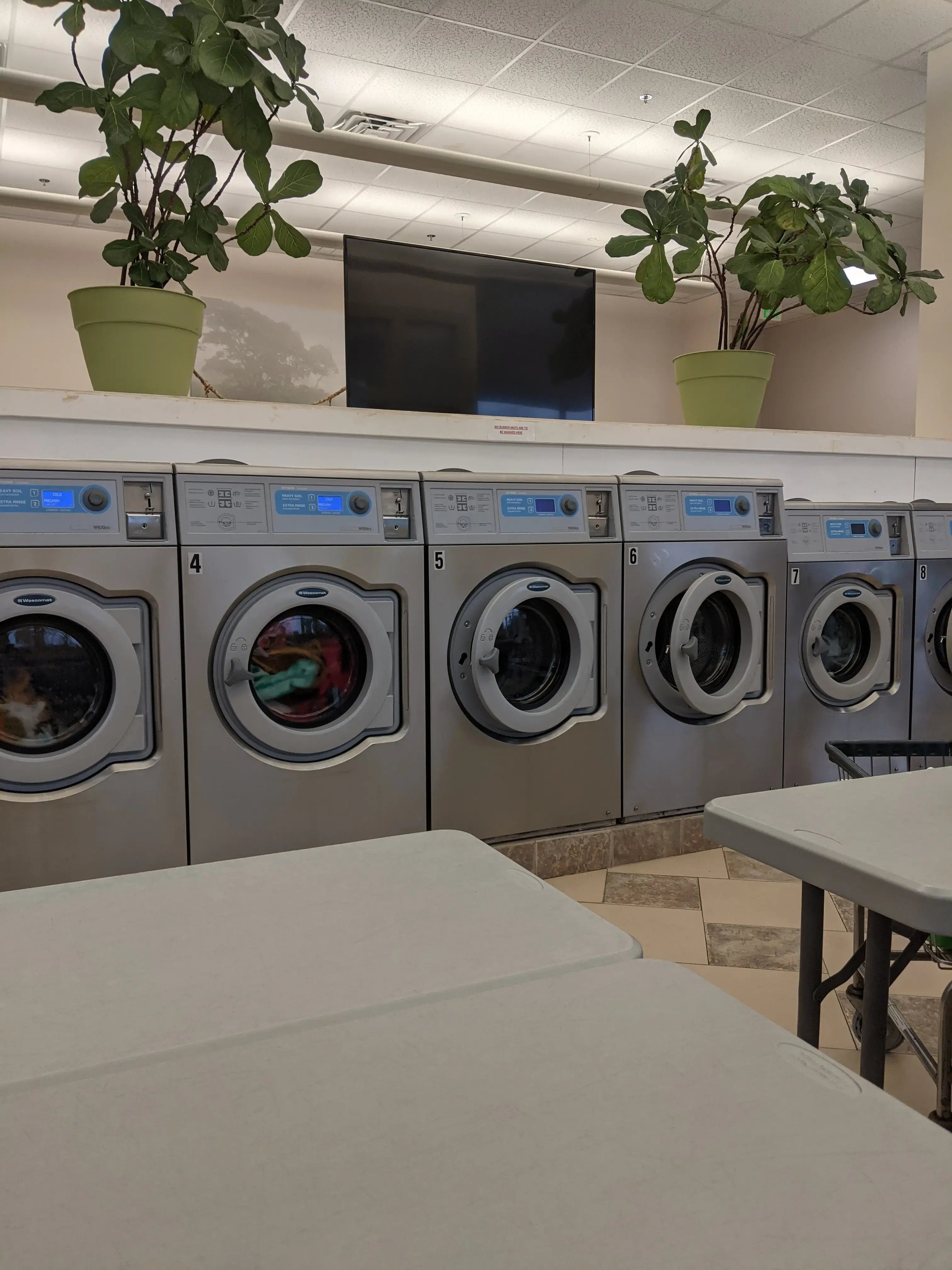Liberty Laundromat thumbnail 18