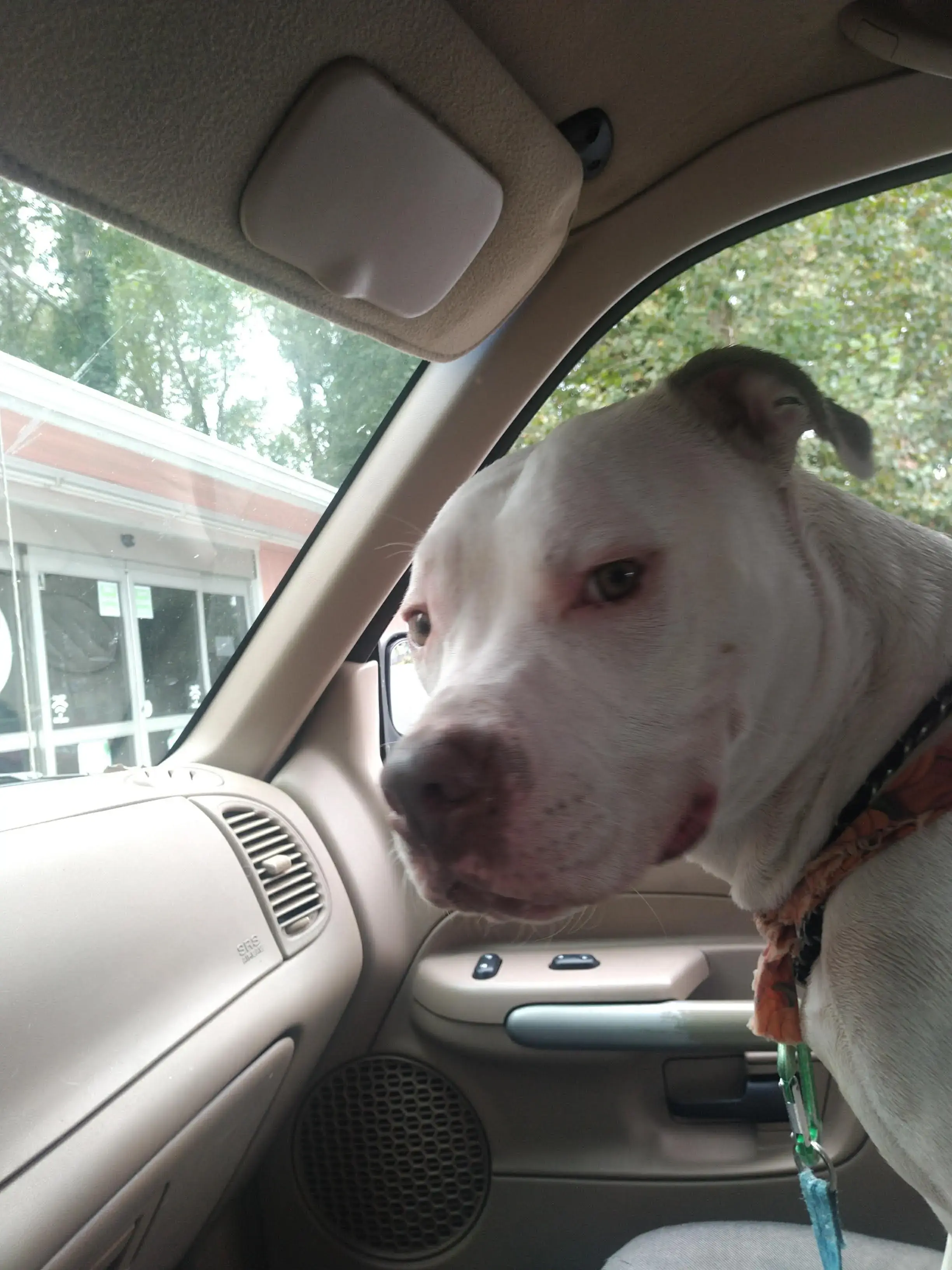 Lifestyle Laundry Co - Image 9