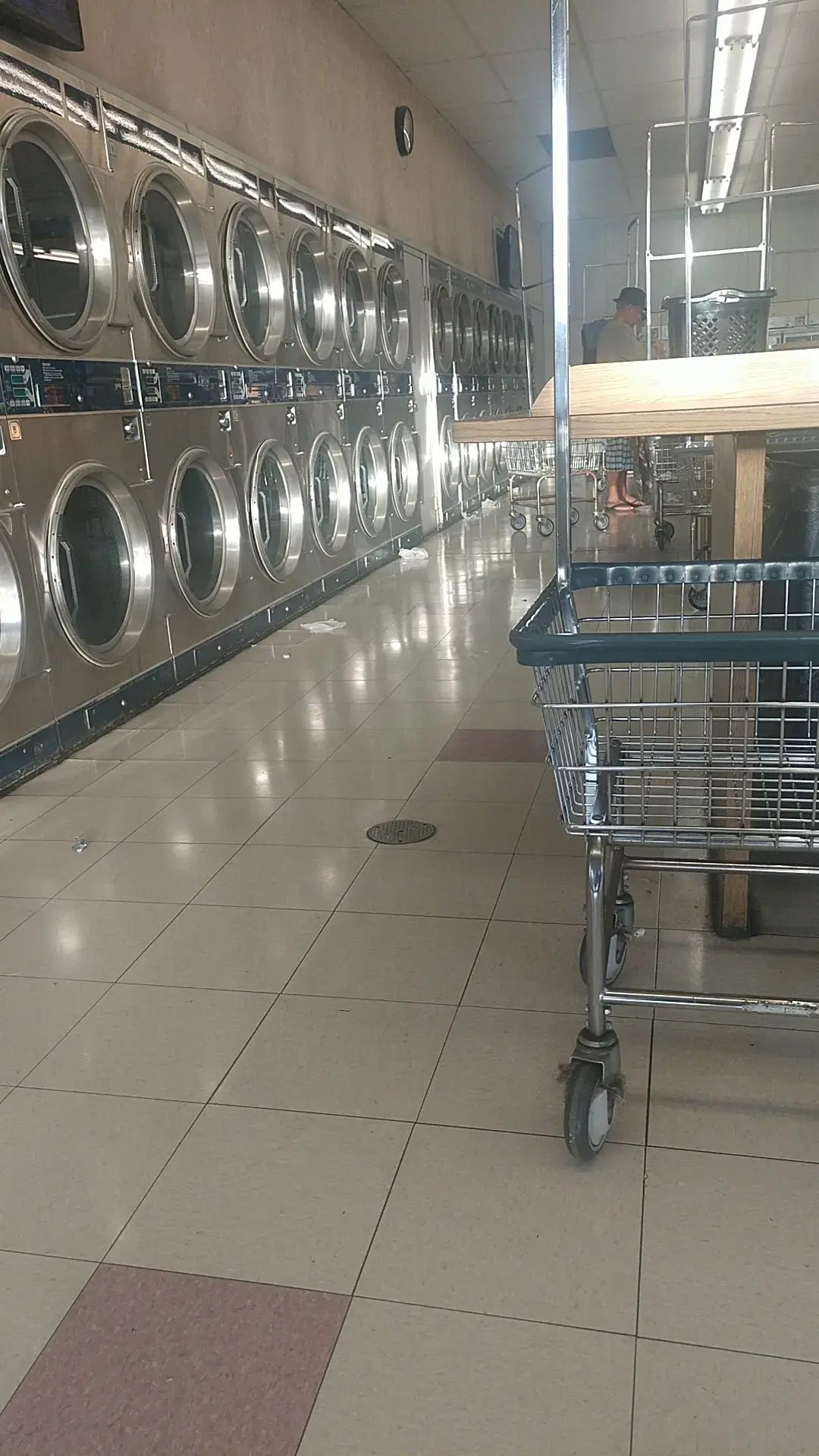 Light and Bright Laundry Co. thumbnail 8