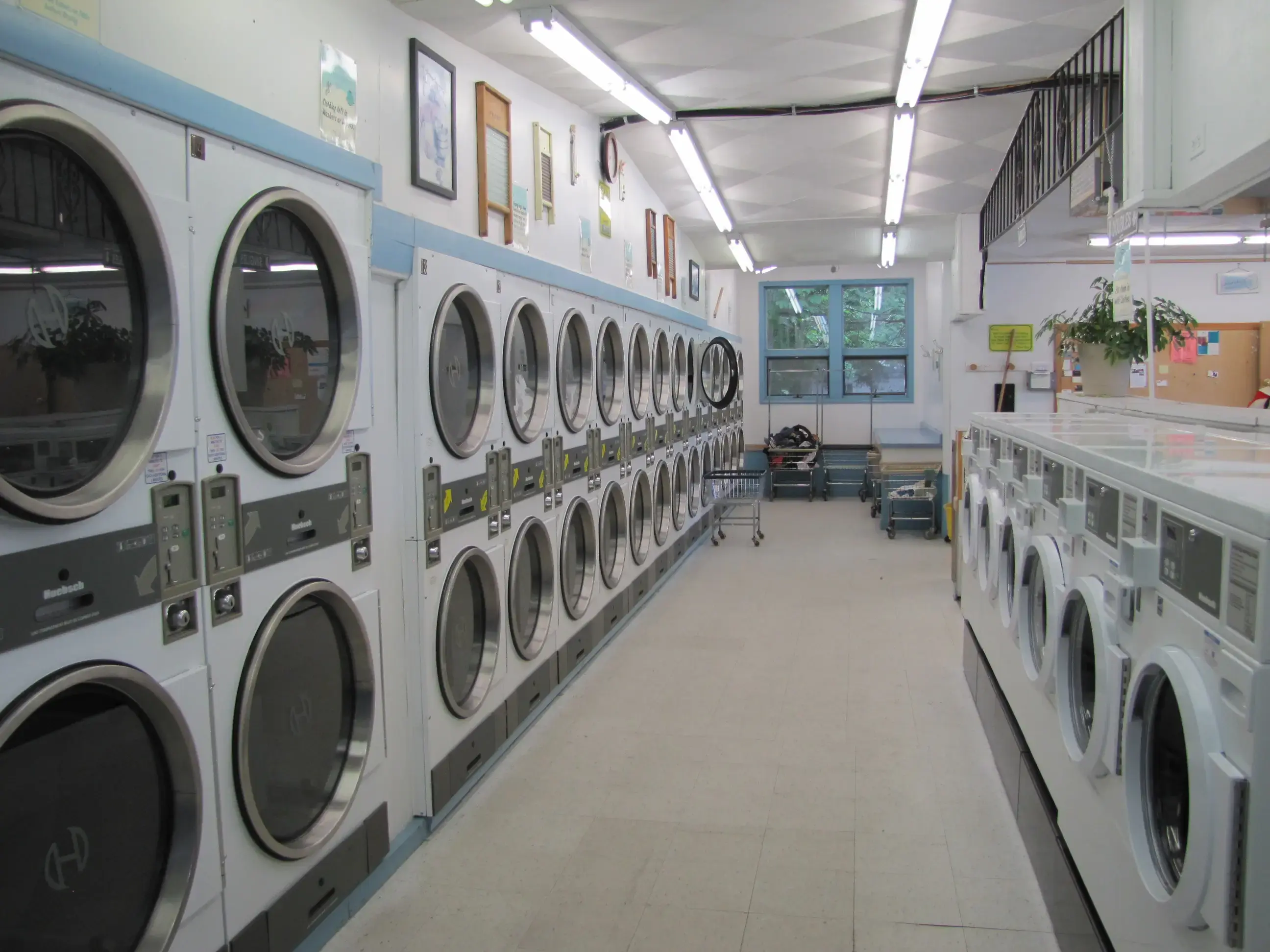 Lighthouse Laundry thumbnail 18