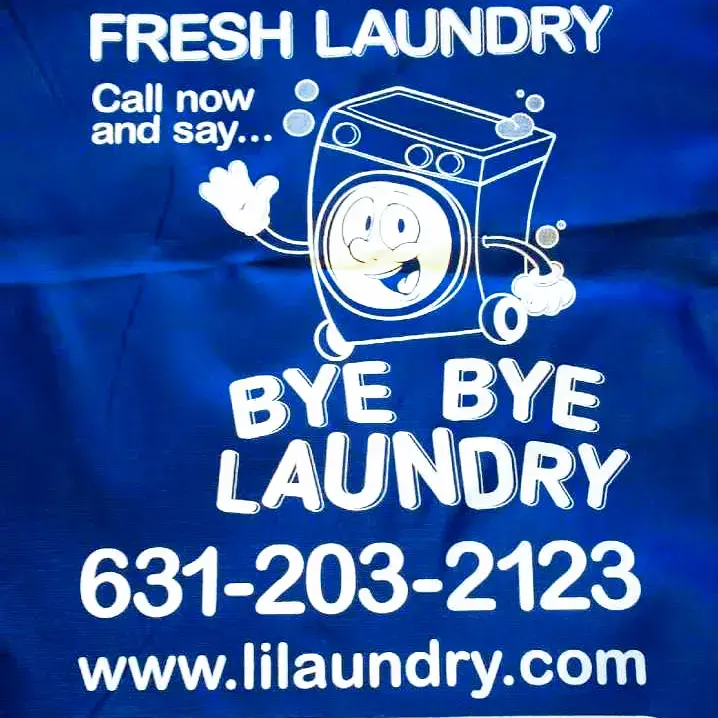 Lilaundry.com thumbnail 8