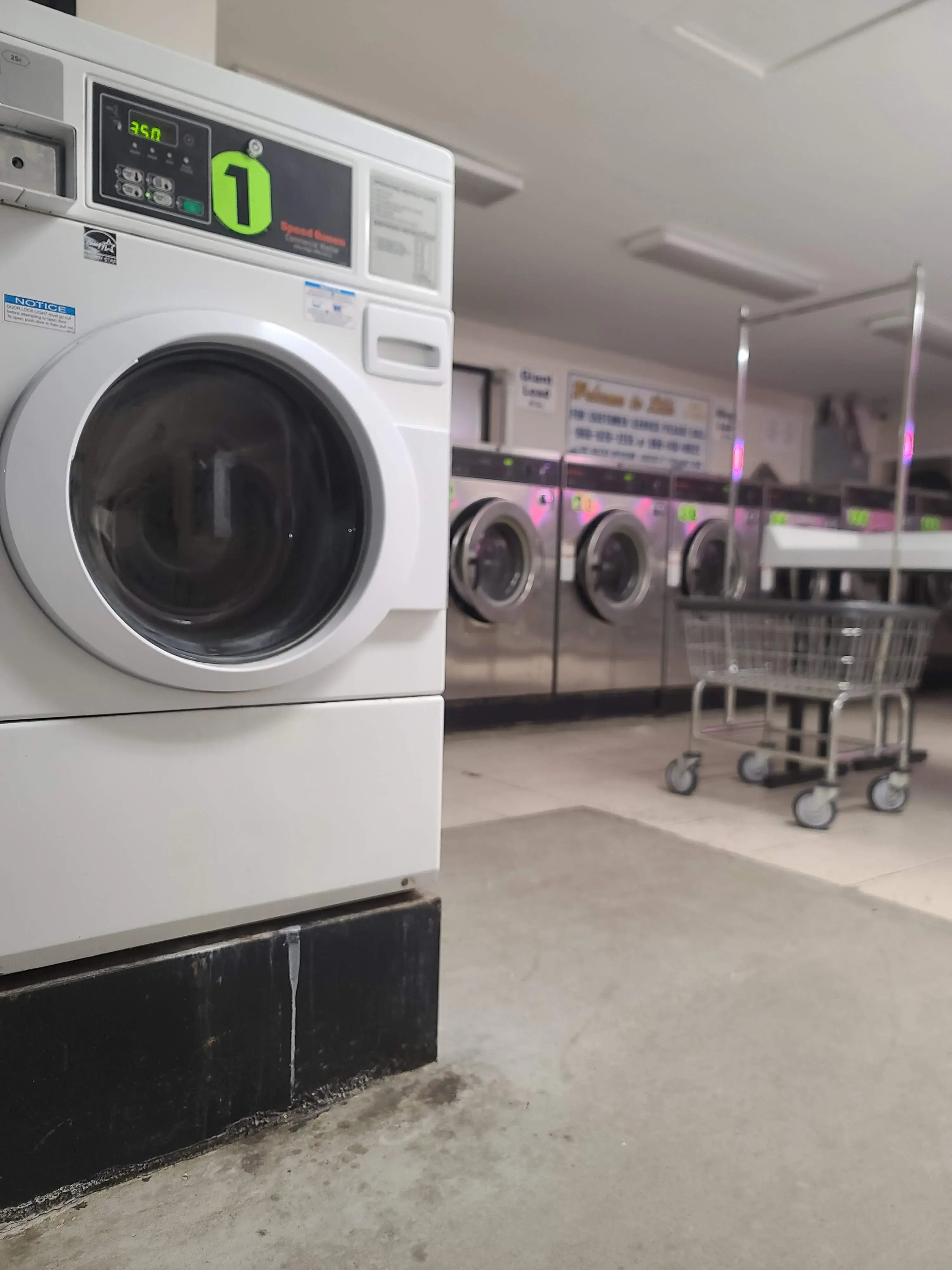 Lili's Laundromat thumbnail 15