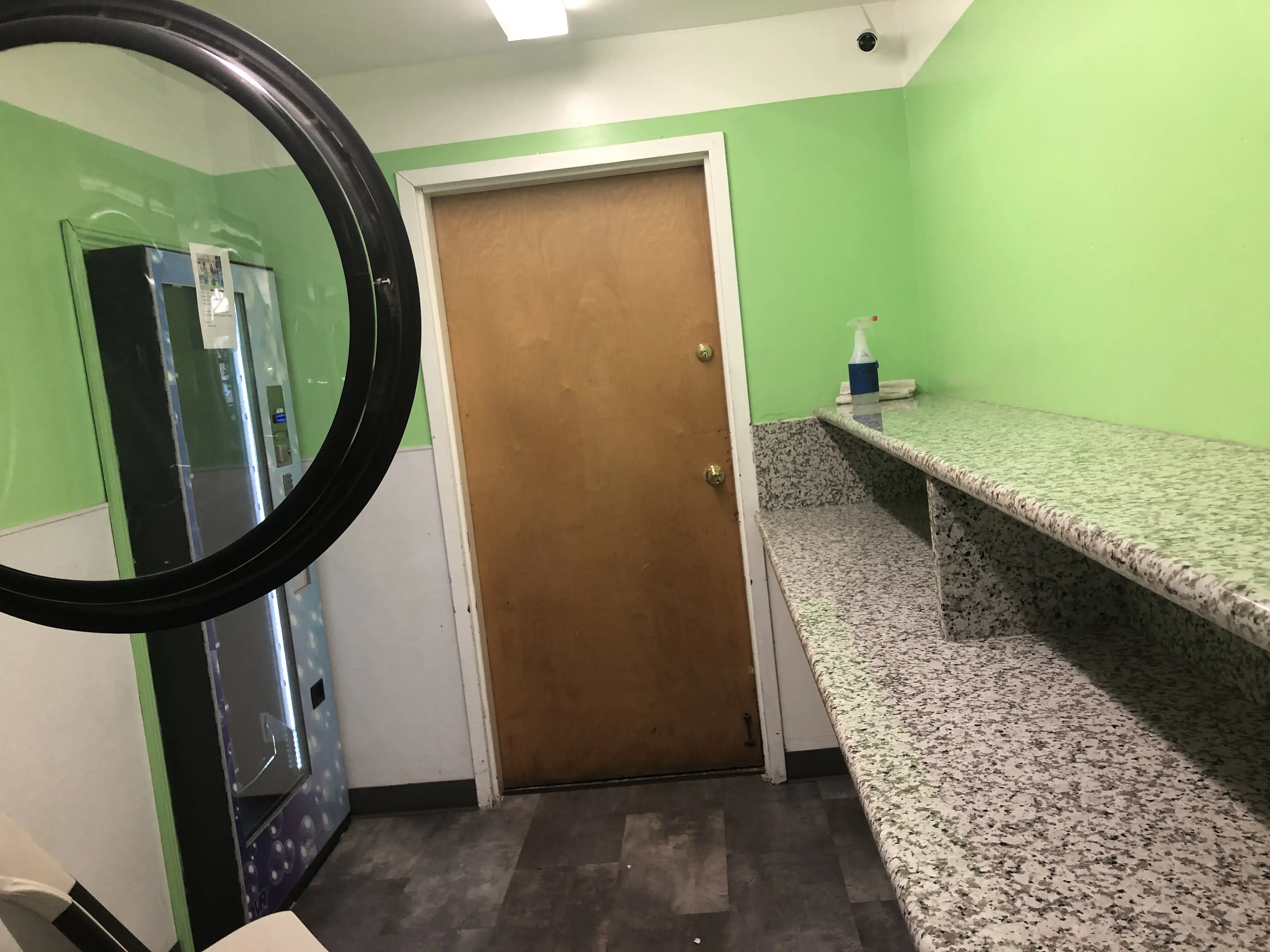 Lily Laundromat thumbnail 5