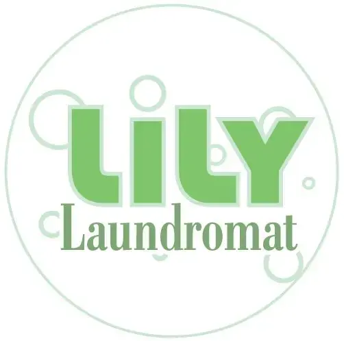 Lily Laundromat - Image 19