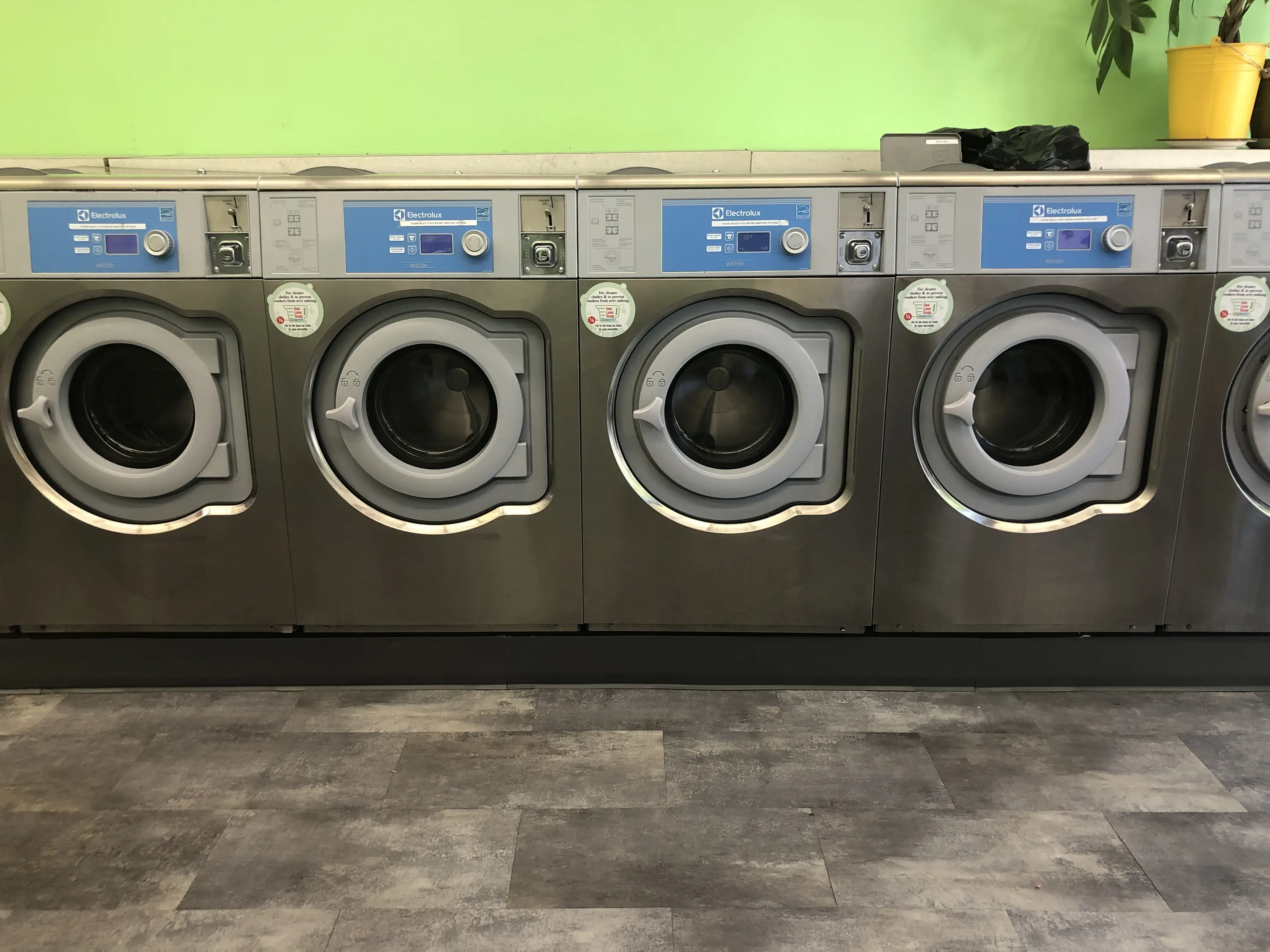 Lily Laundromat - Image 12