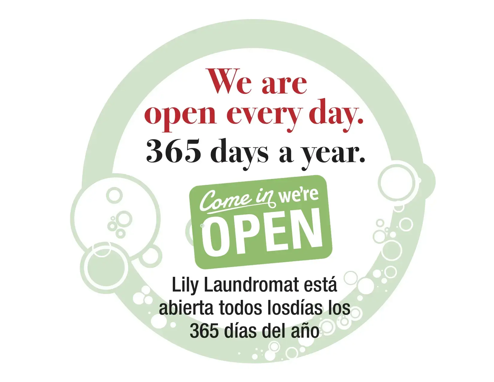 Lily Laundromat thumbnail 17