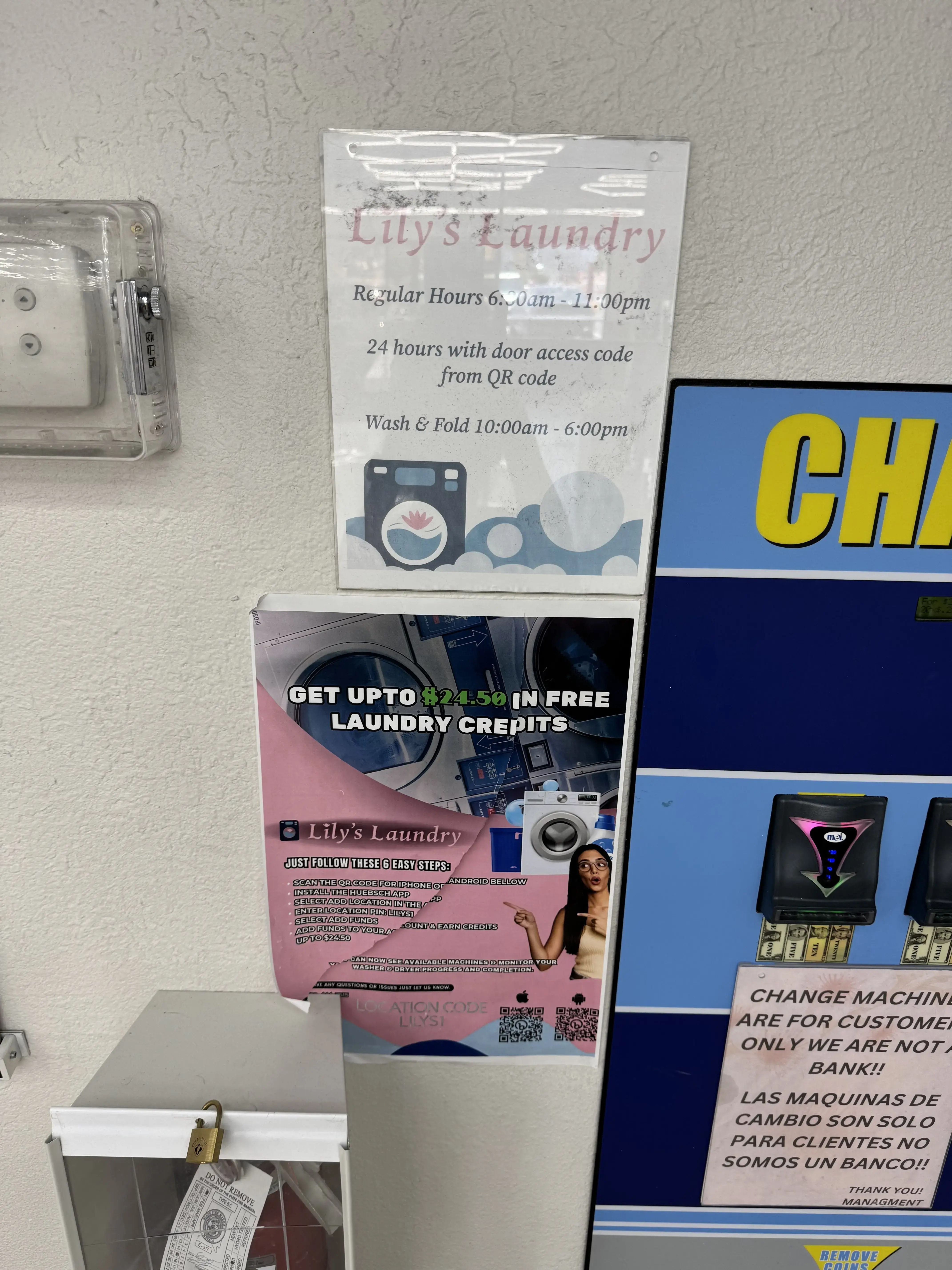 Lily's Laundry in Las Vegas - Image 20