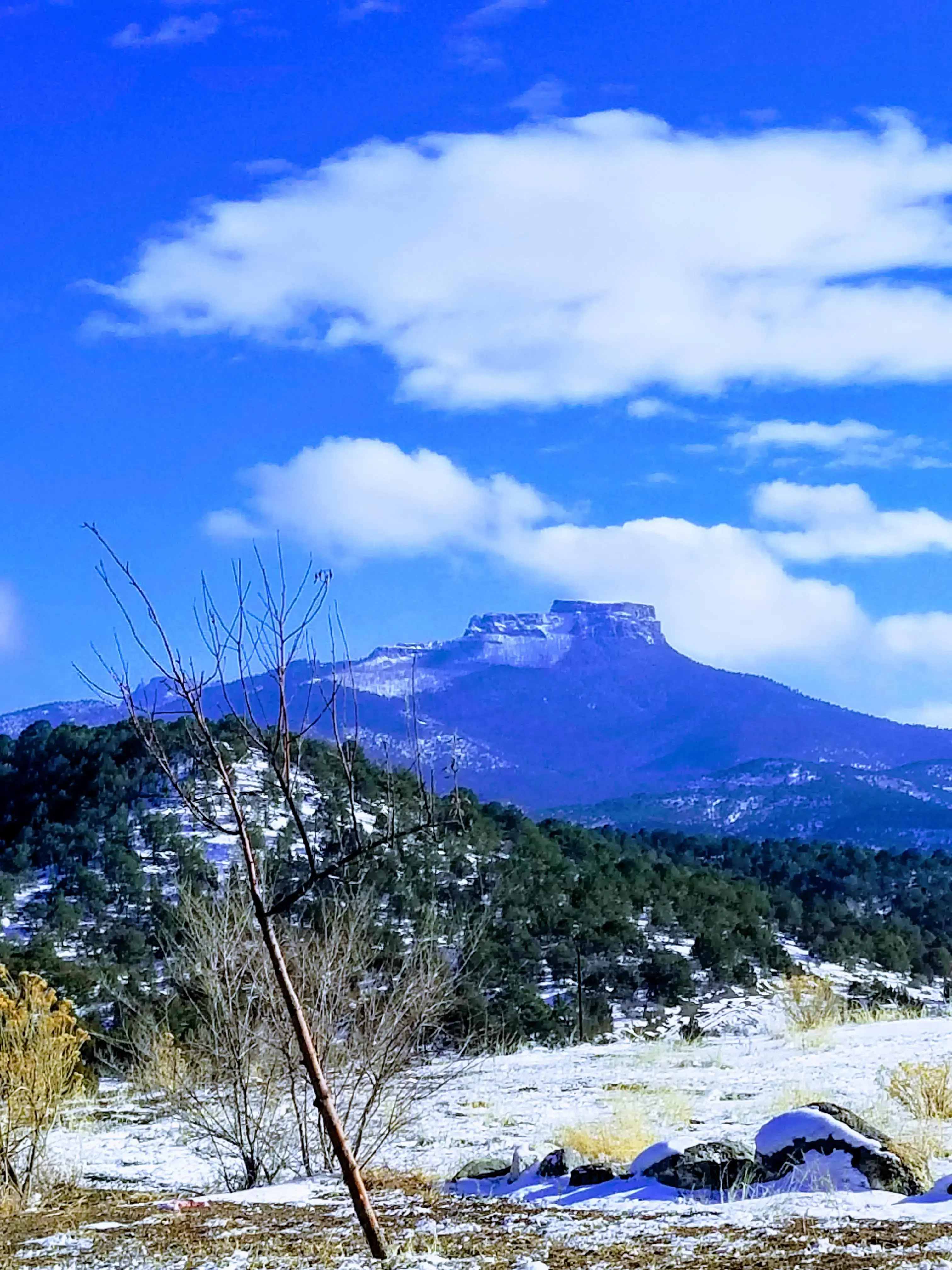 Linda's Laundry - Image 17