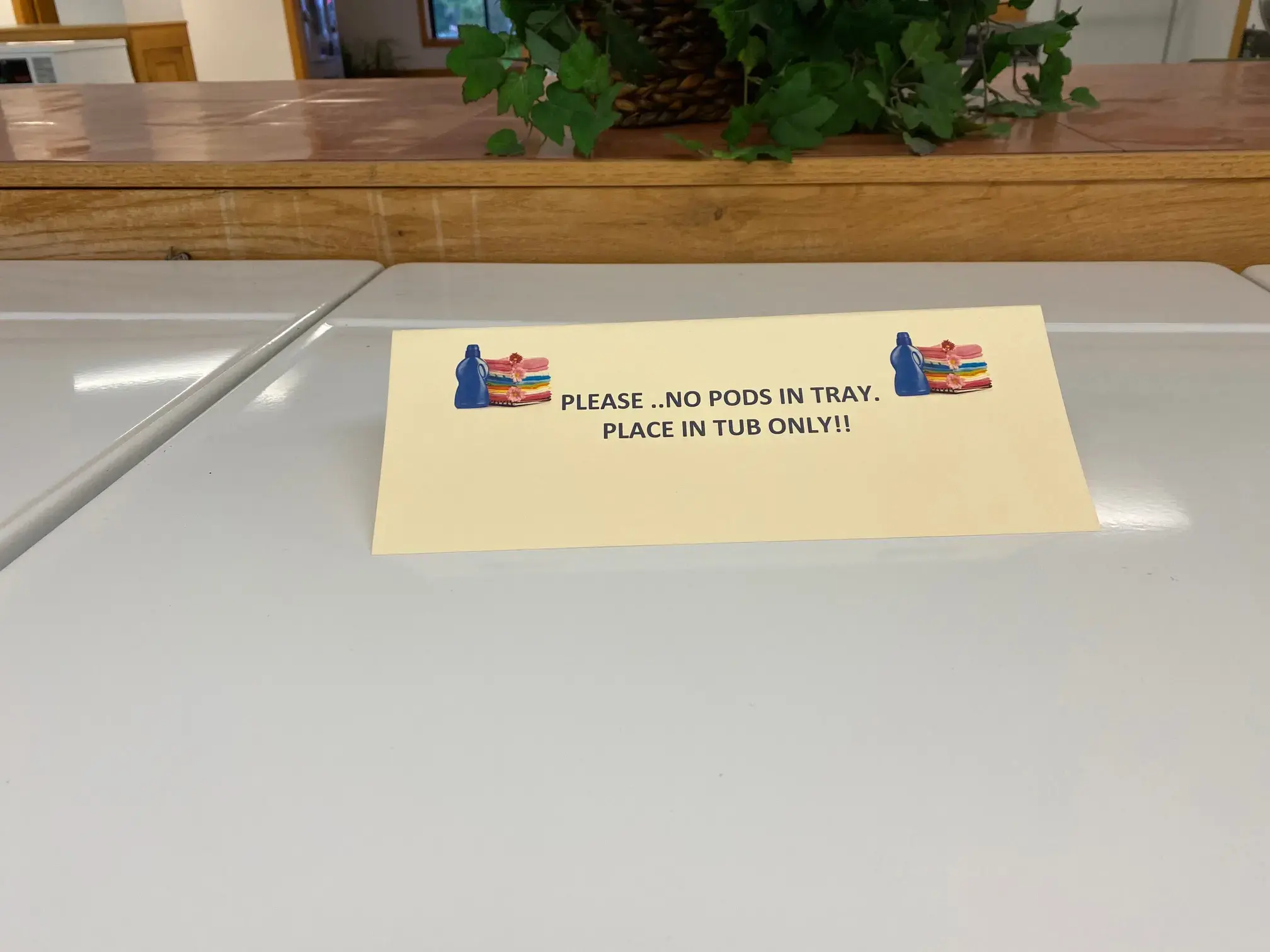 Linda's Laundry - Image 14