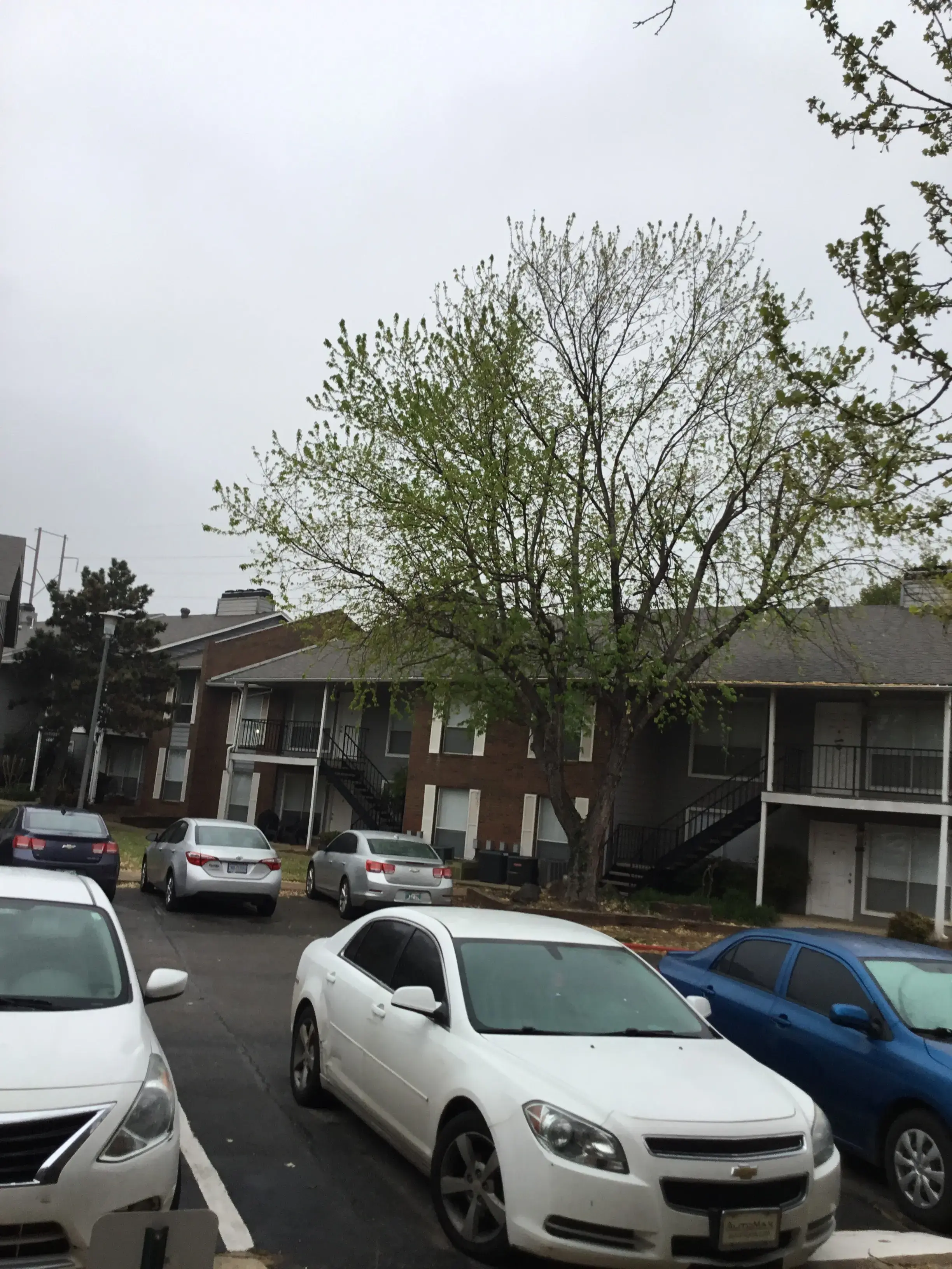 Linen King - Midwest City - Image 2
