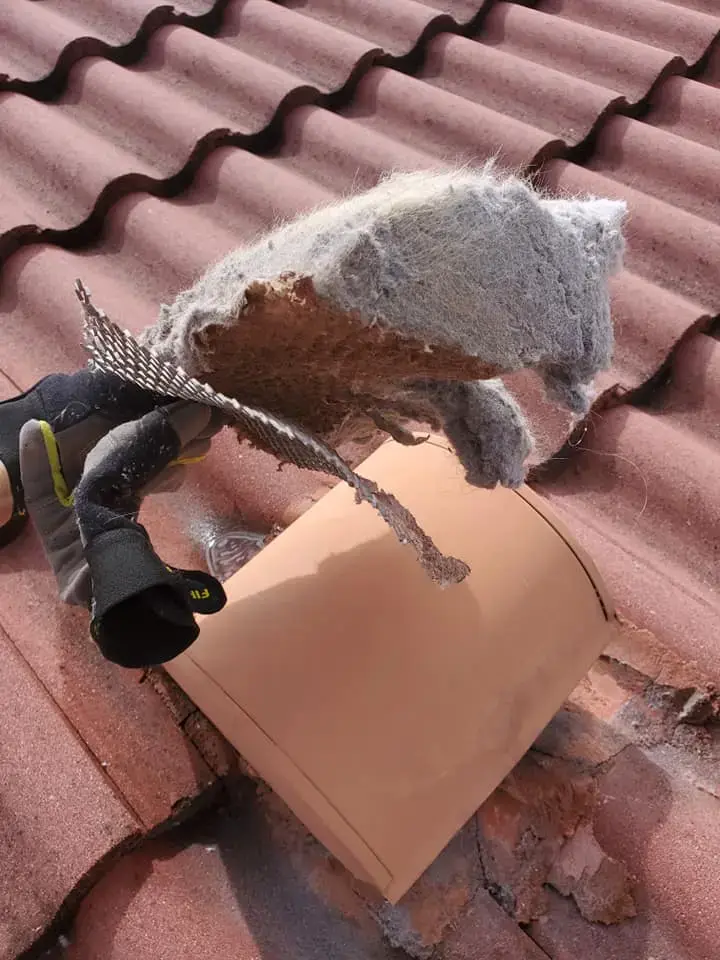 Lintman Dryer Vent Cleaning, LLC ® thumbnail 8