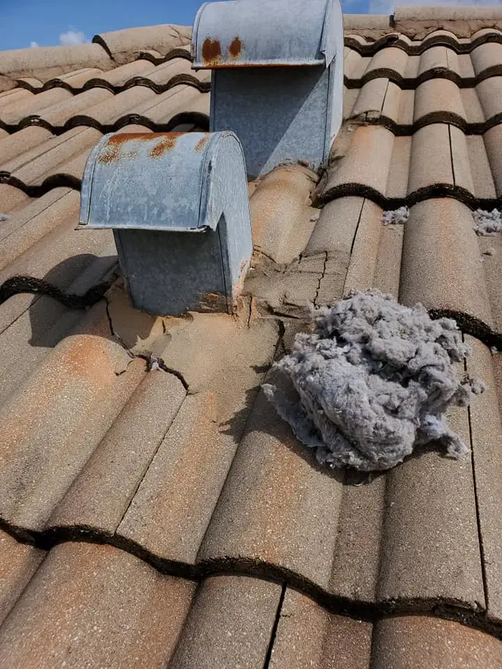 Lintman Dryer Vent Cleaning, LLC ® thumbnail 2
