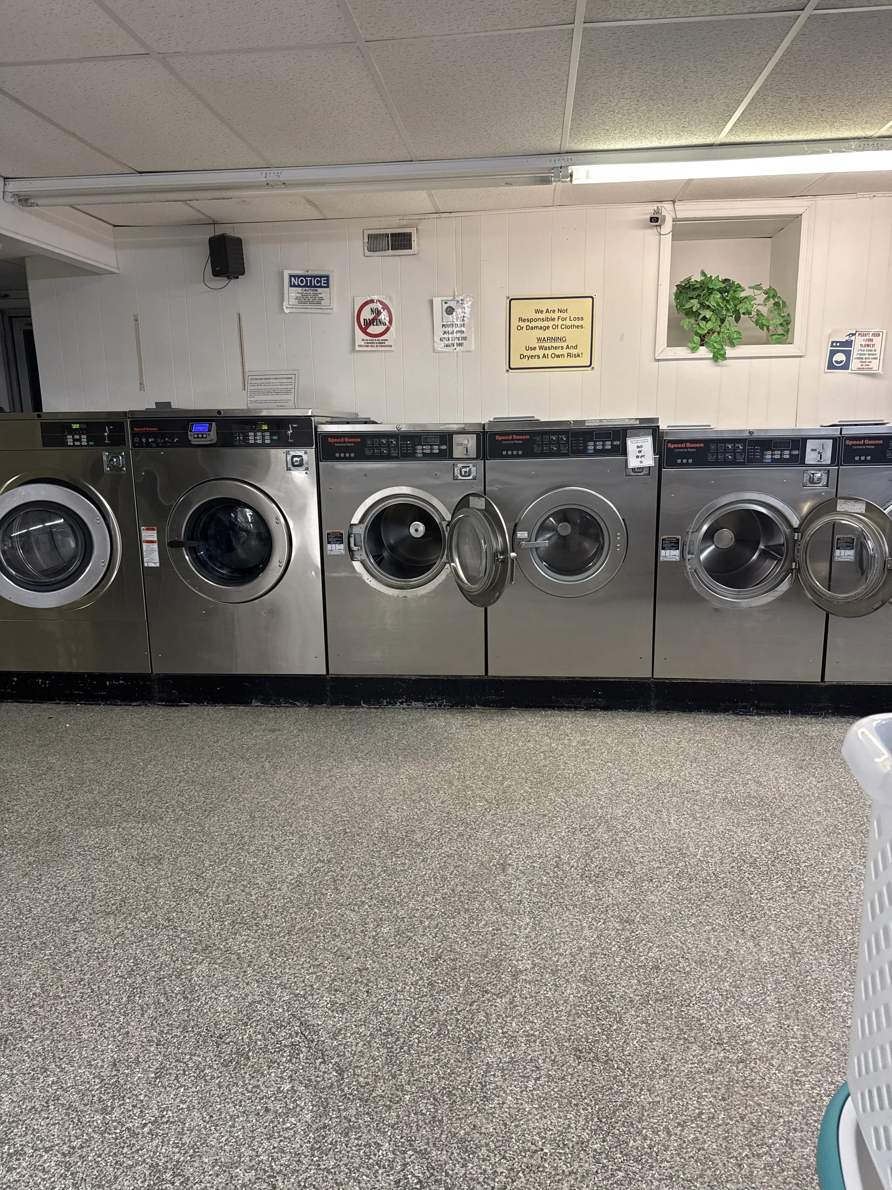 Lisa's Laundromat - Image 2