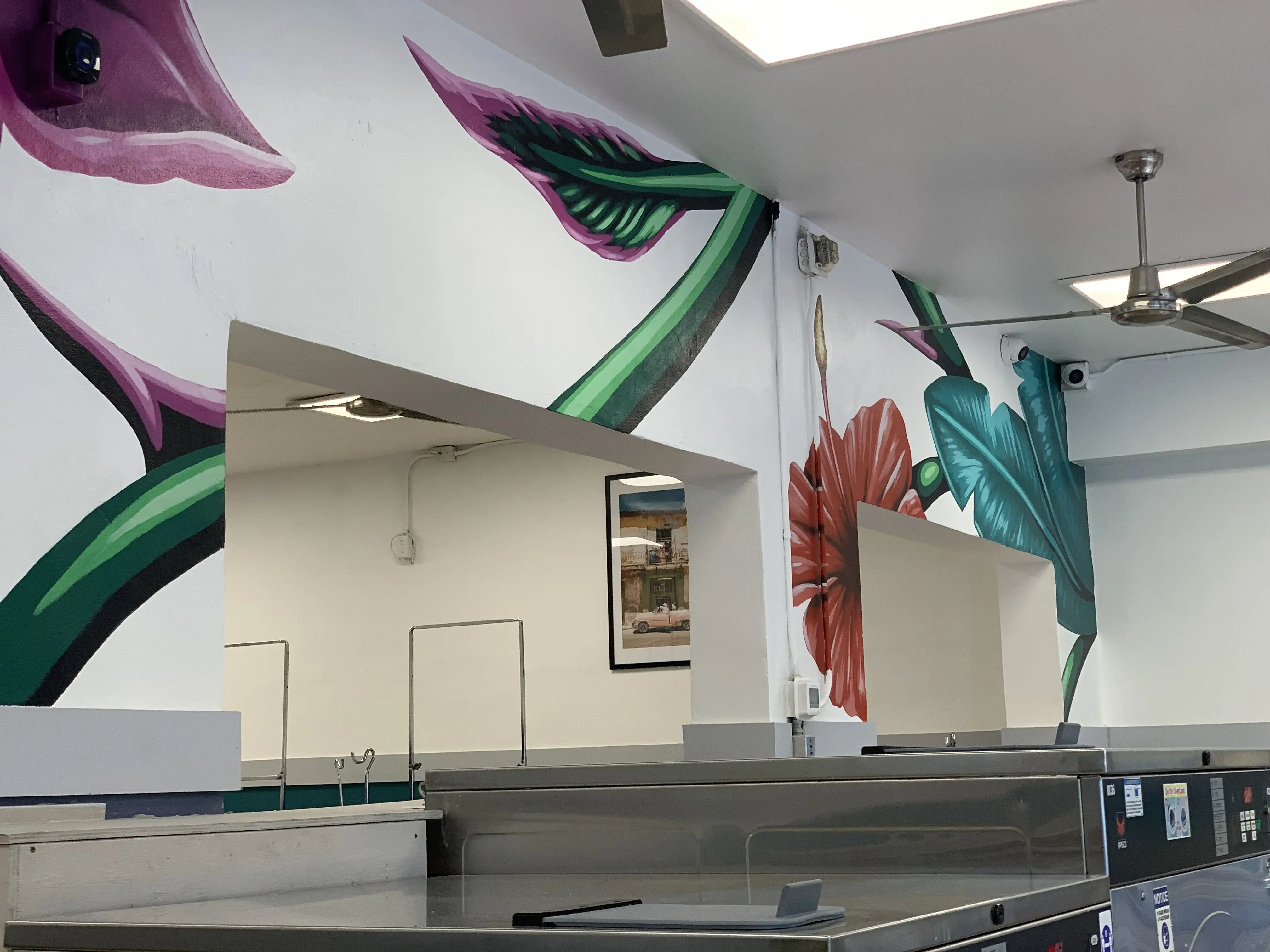 Little Havana Laundry - Image 9