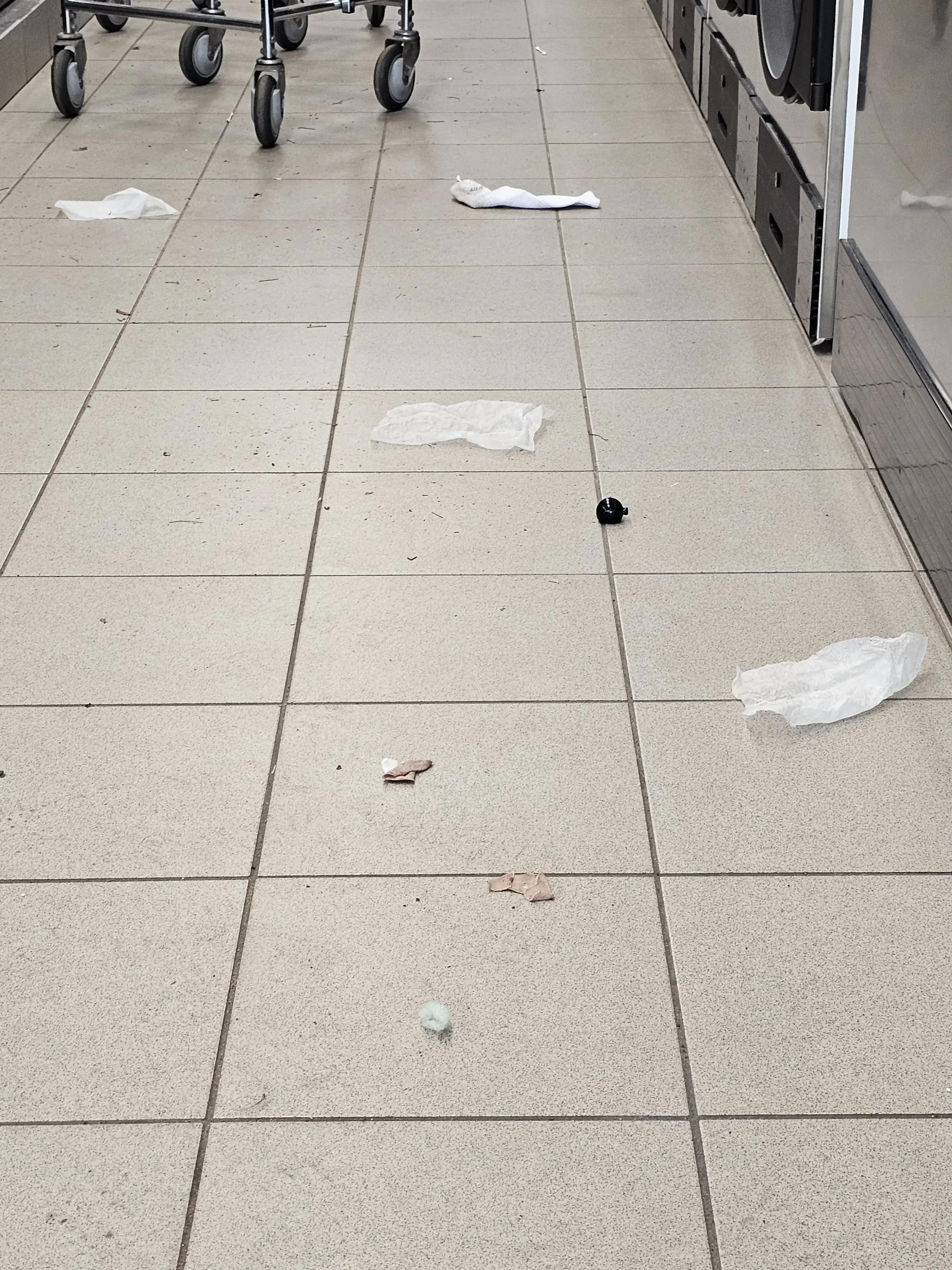 Loads of Fun Laundry - Image 7