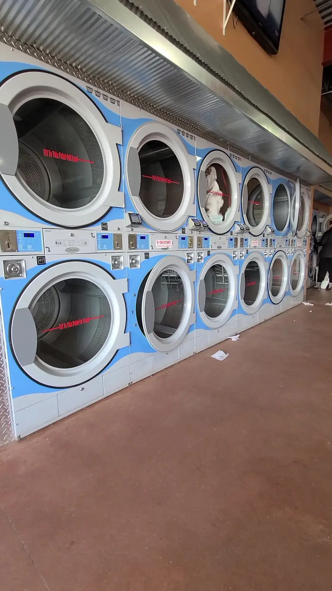 Loads of Fun Laundry - Image 2