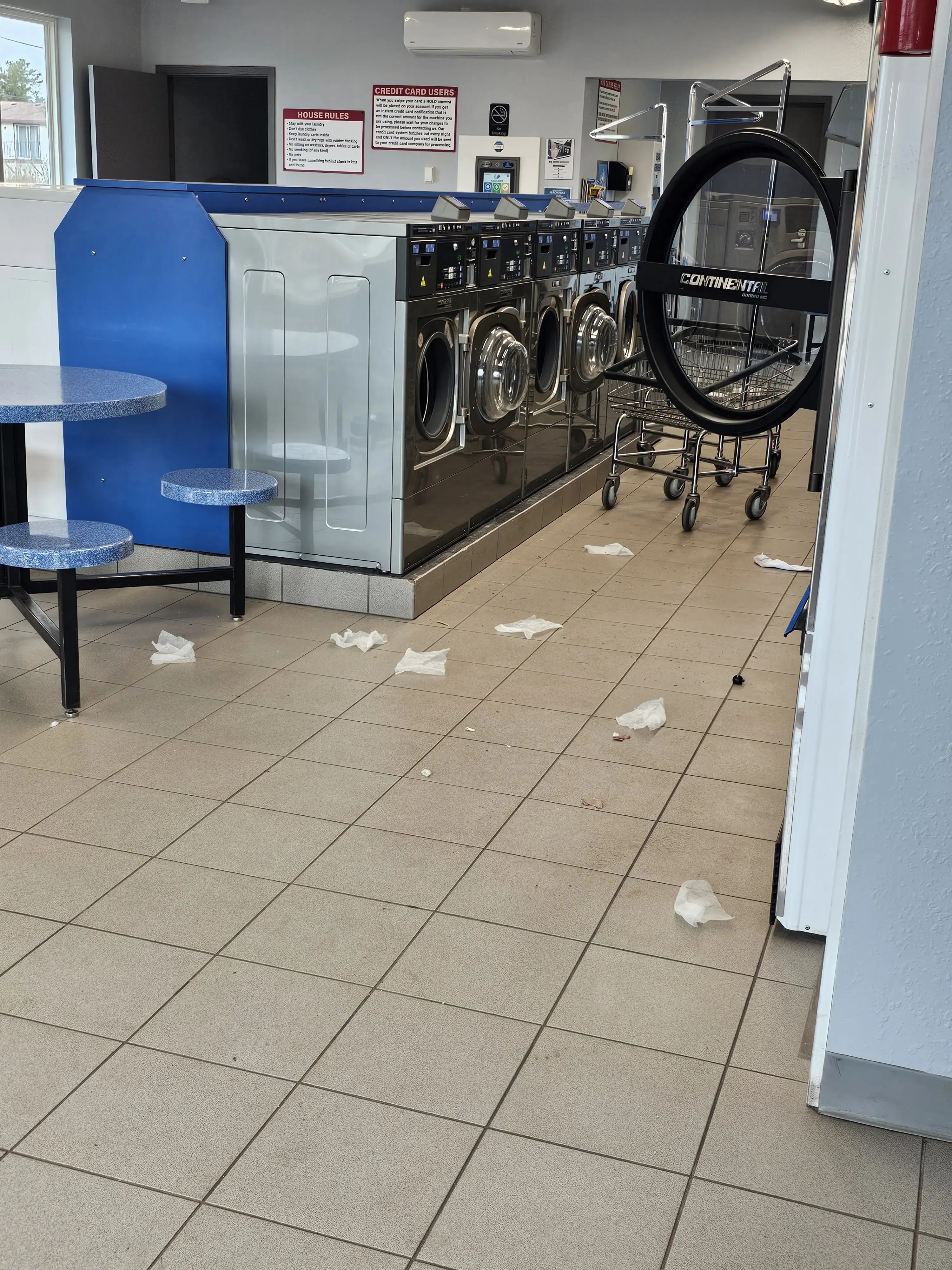 Loads of Fun Laundry thumbnail 6