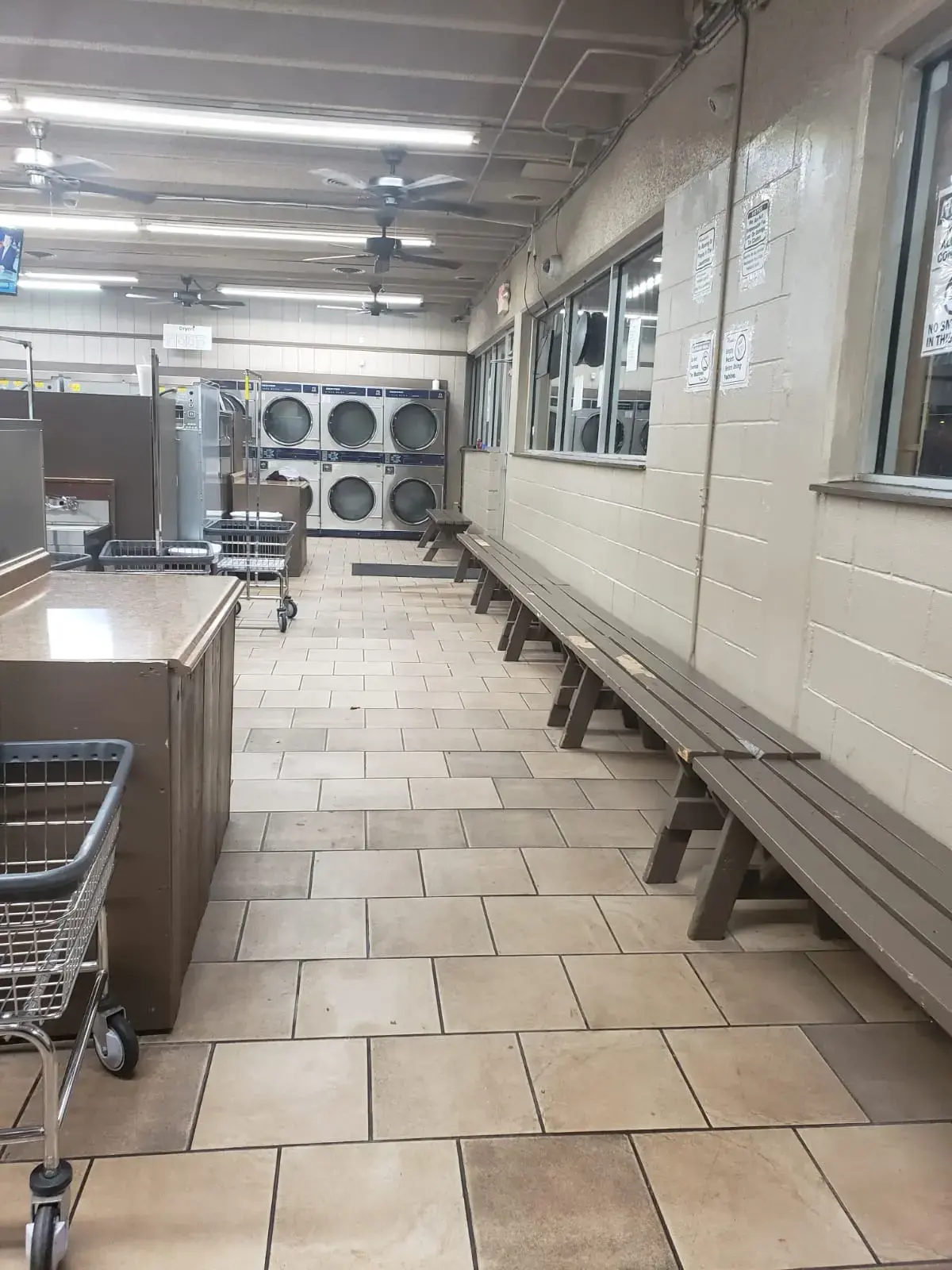 Local Laundry - Medina Base thumbnail 5