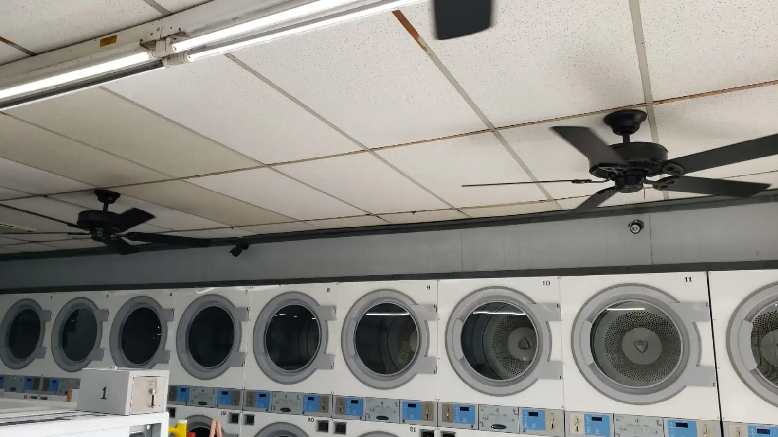 Local Laundry - Medina Base - Image 3
