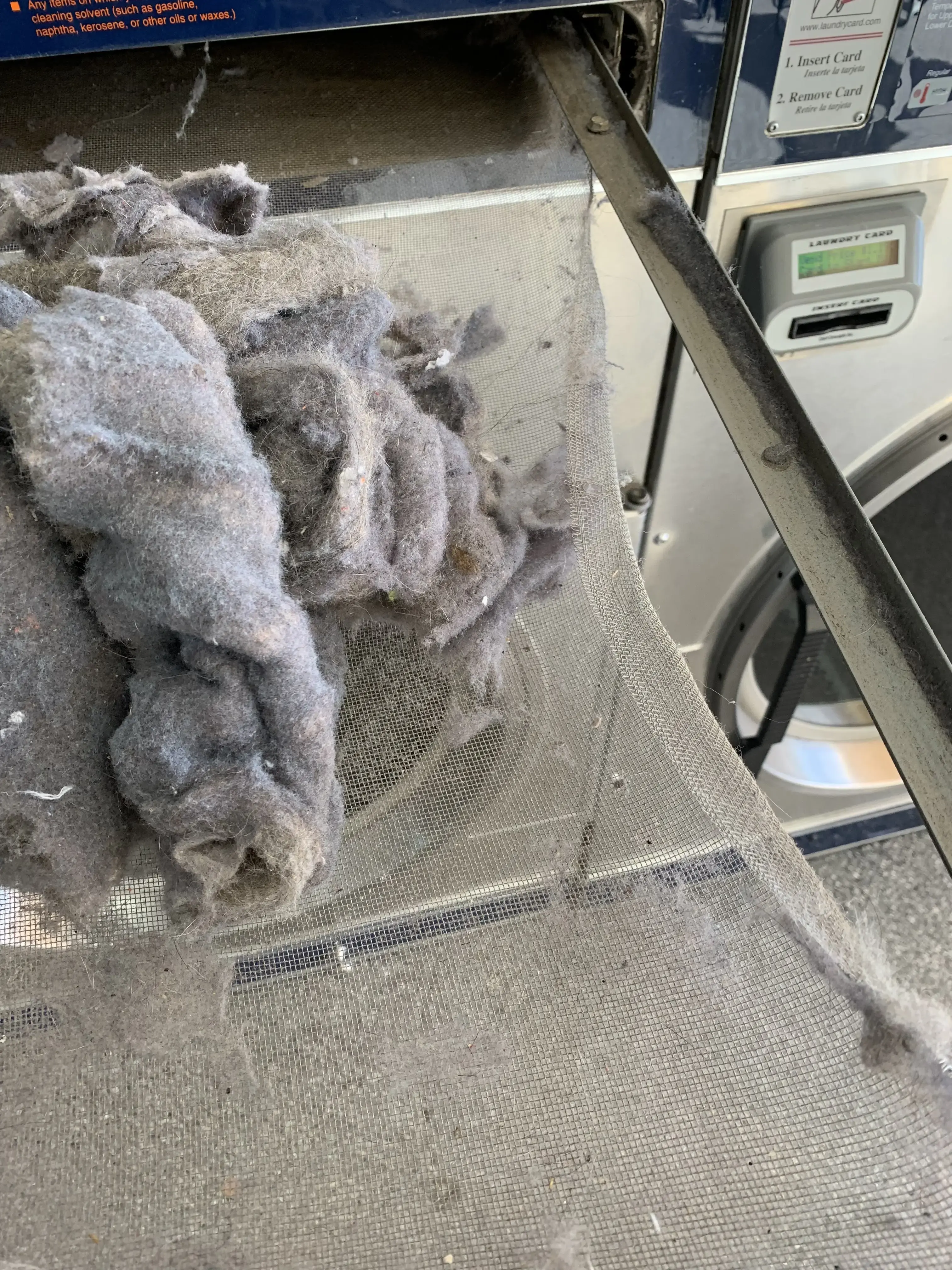 Local Laundry thumbnail 8