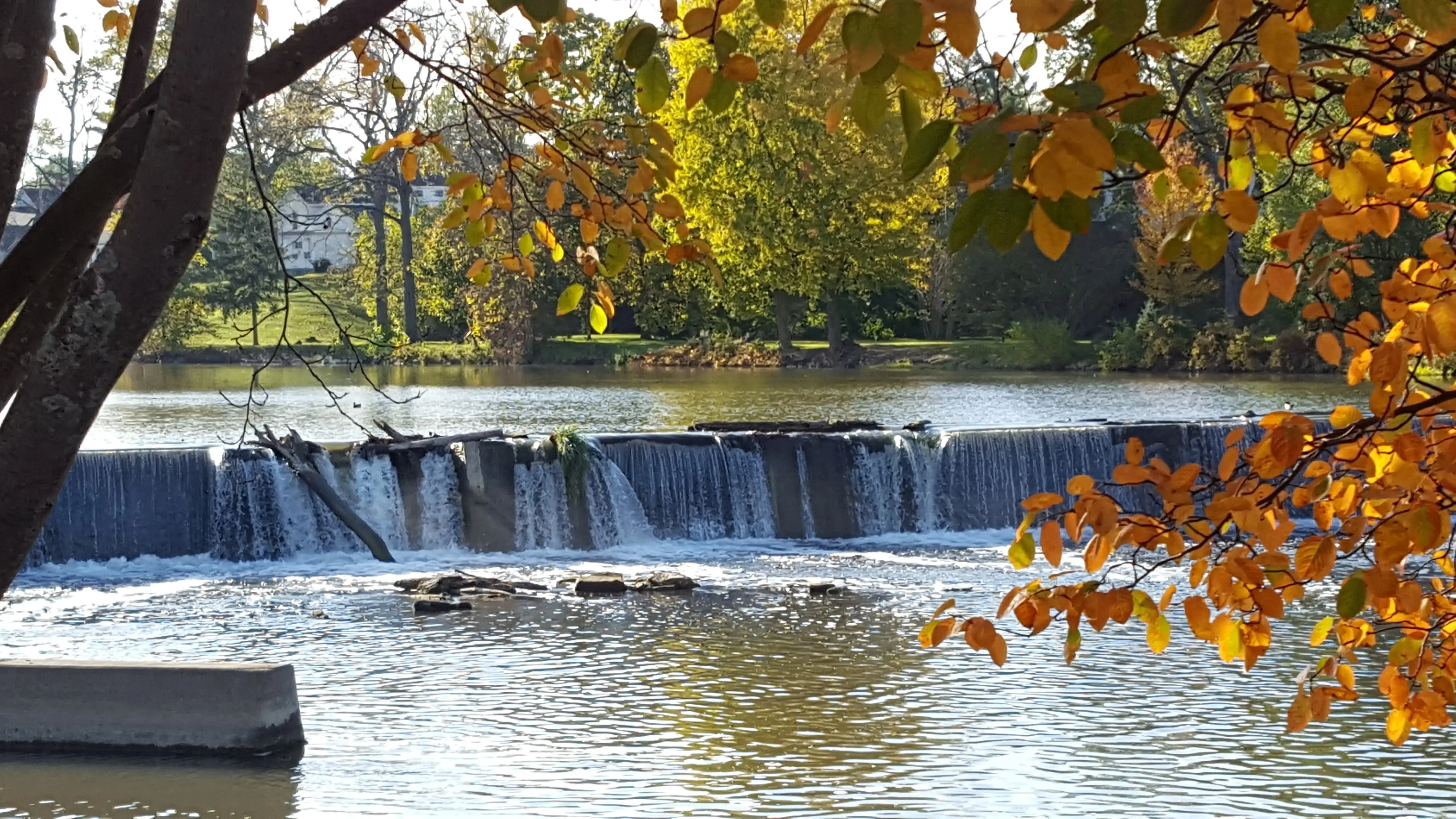 Log Cabin Laundry & Dry Cleaning thumbnail 9