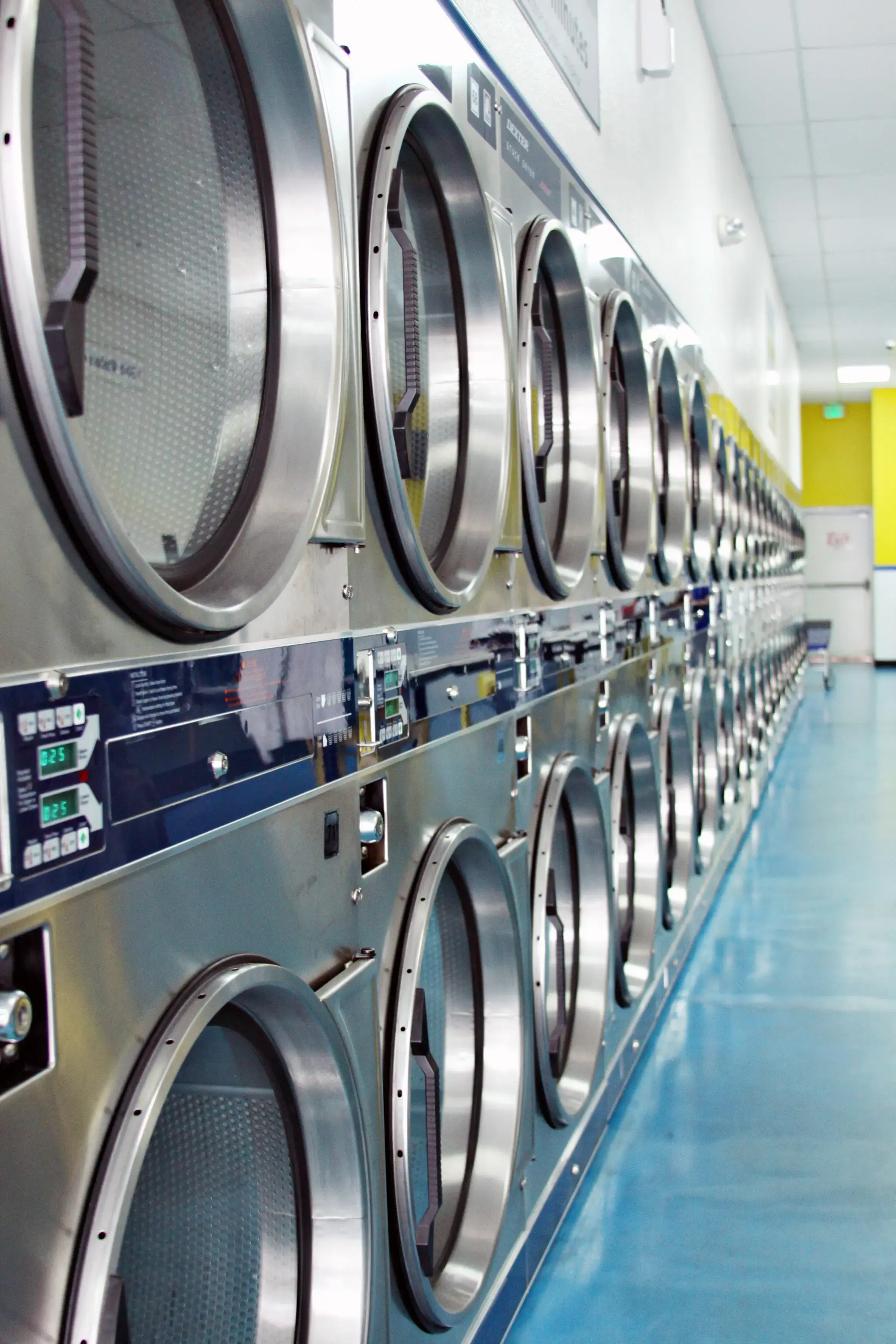 Lola's Laundry - Image 11