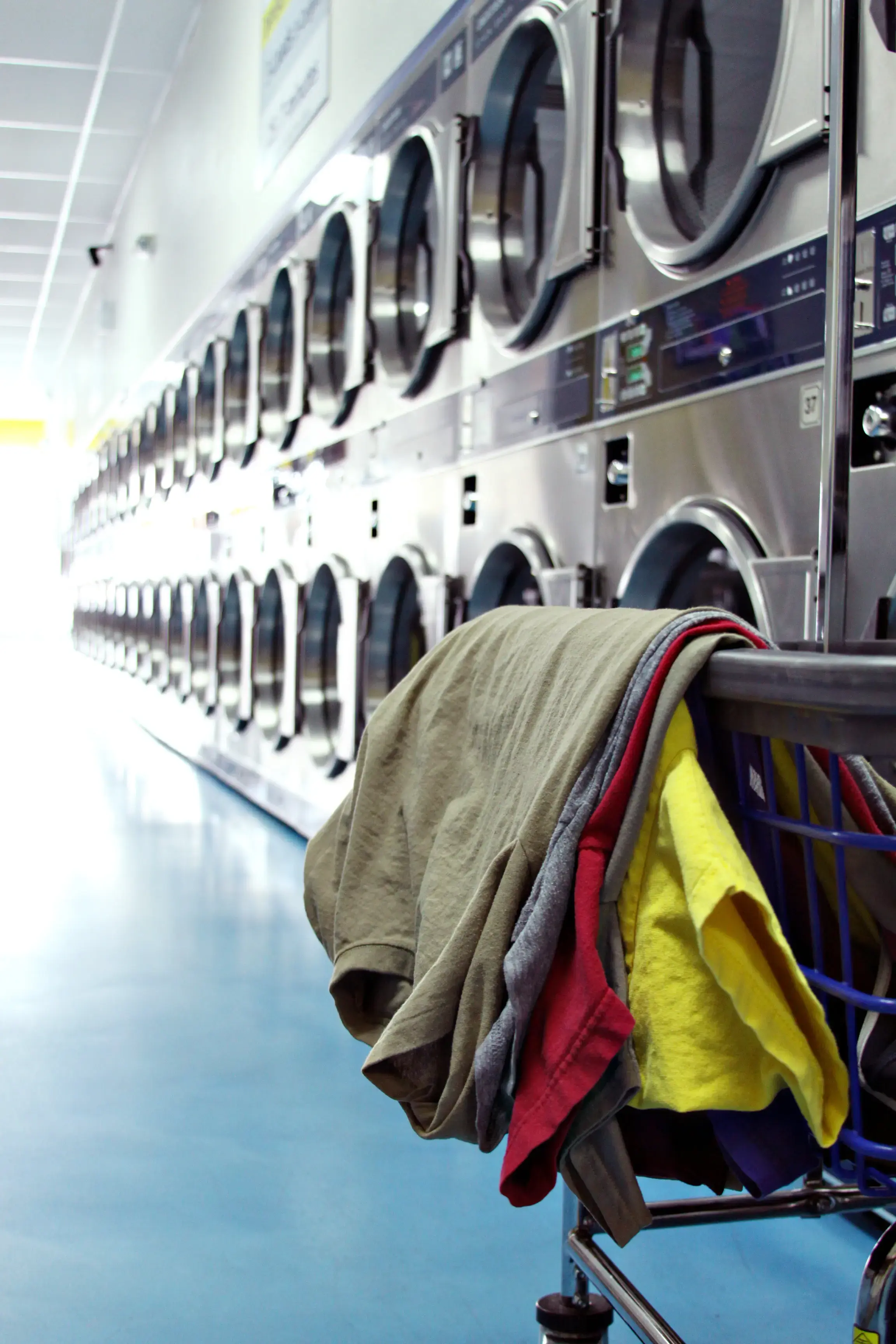 Lola's Laundry - Image 17