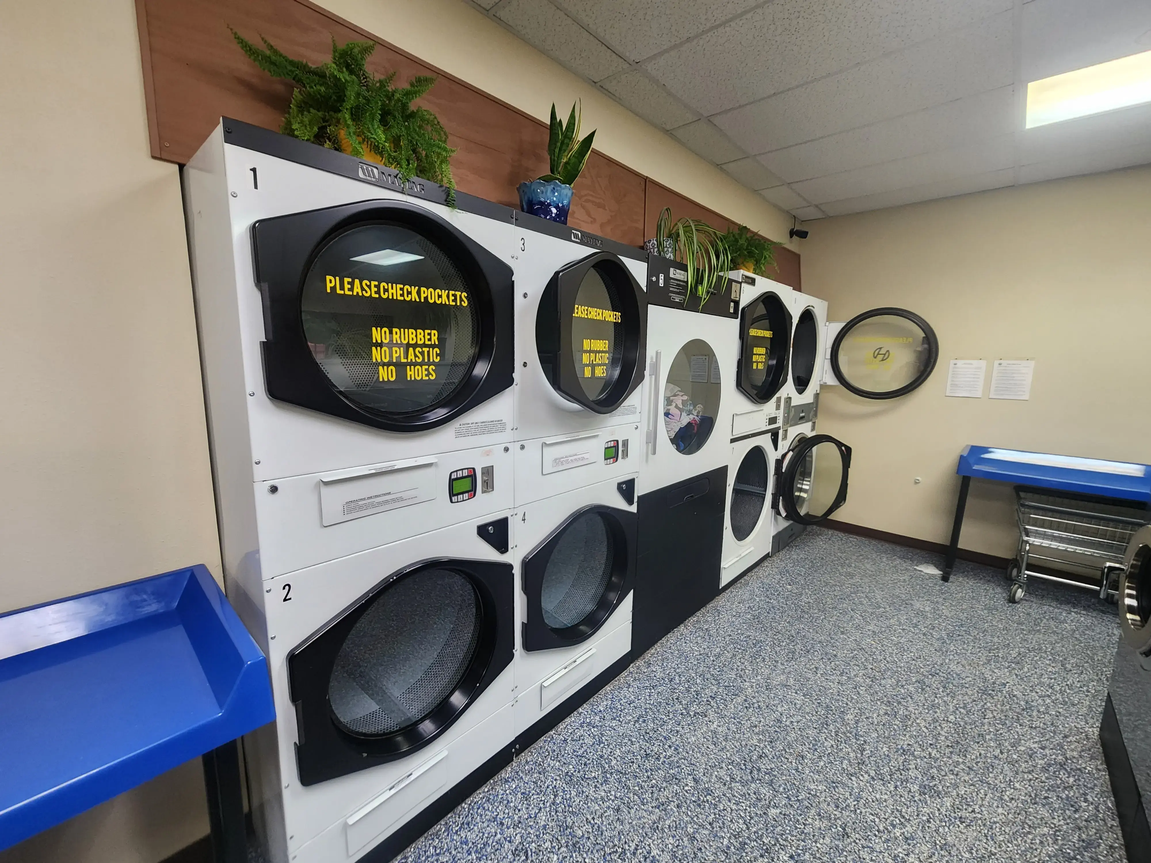 Lolo Wash and Dry - Image 20