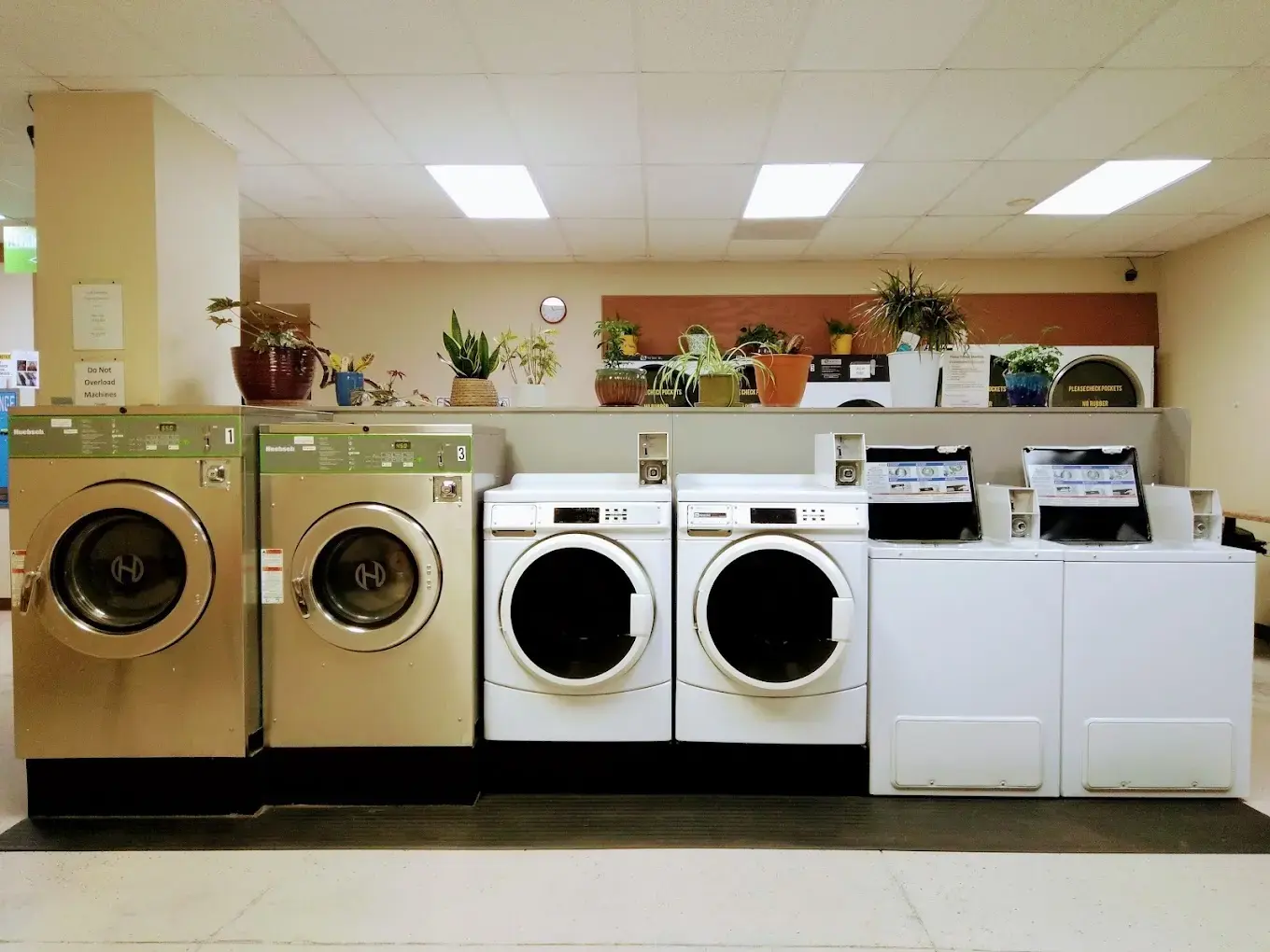 Lolo Wash and Dry - Image 2