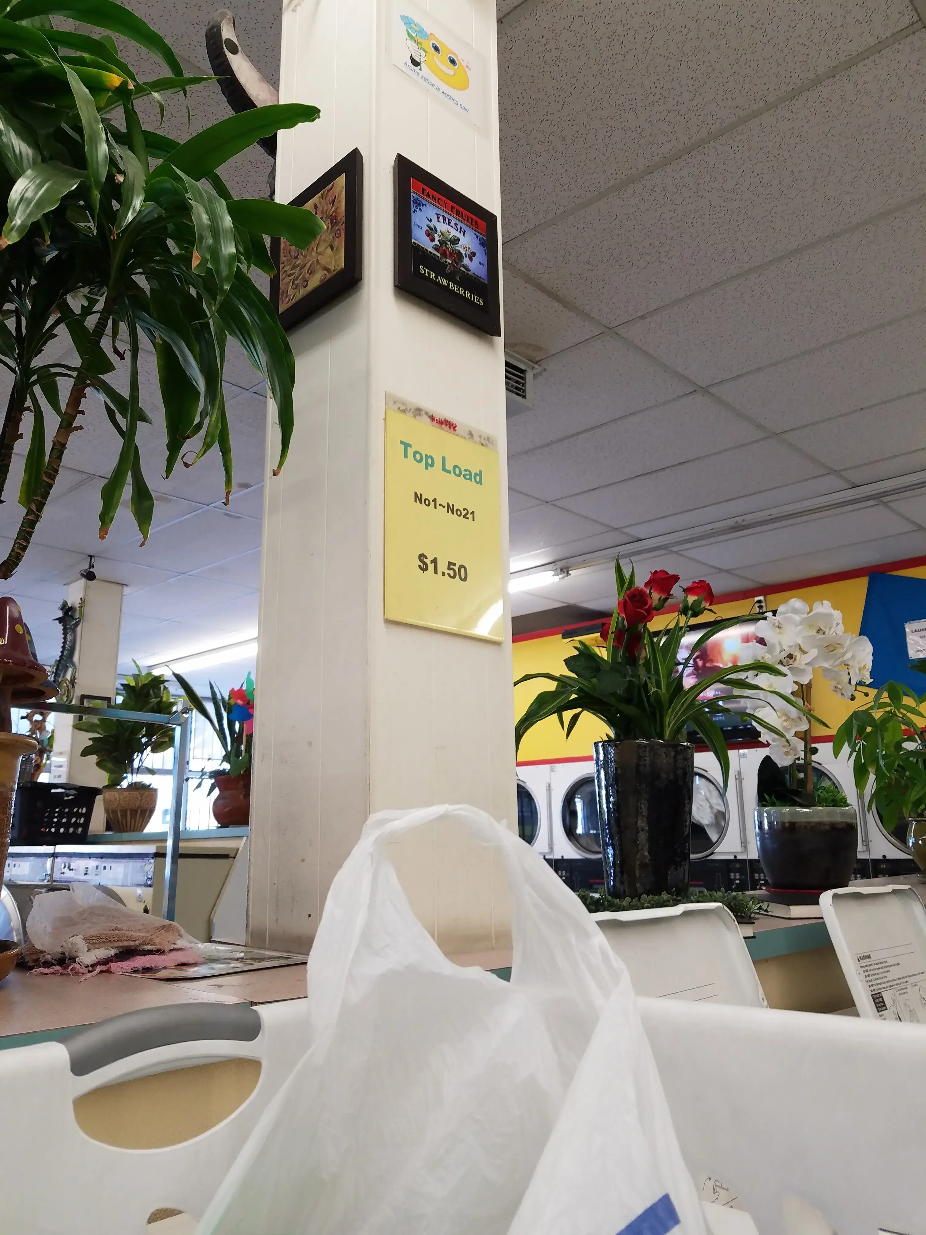 Lomita Coin Laundry - Image 3