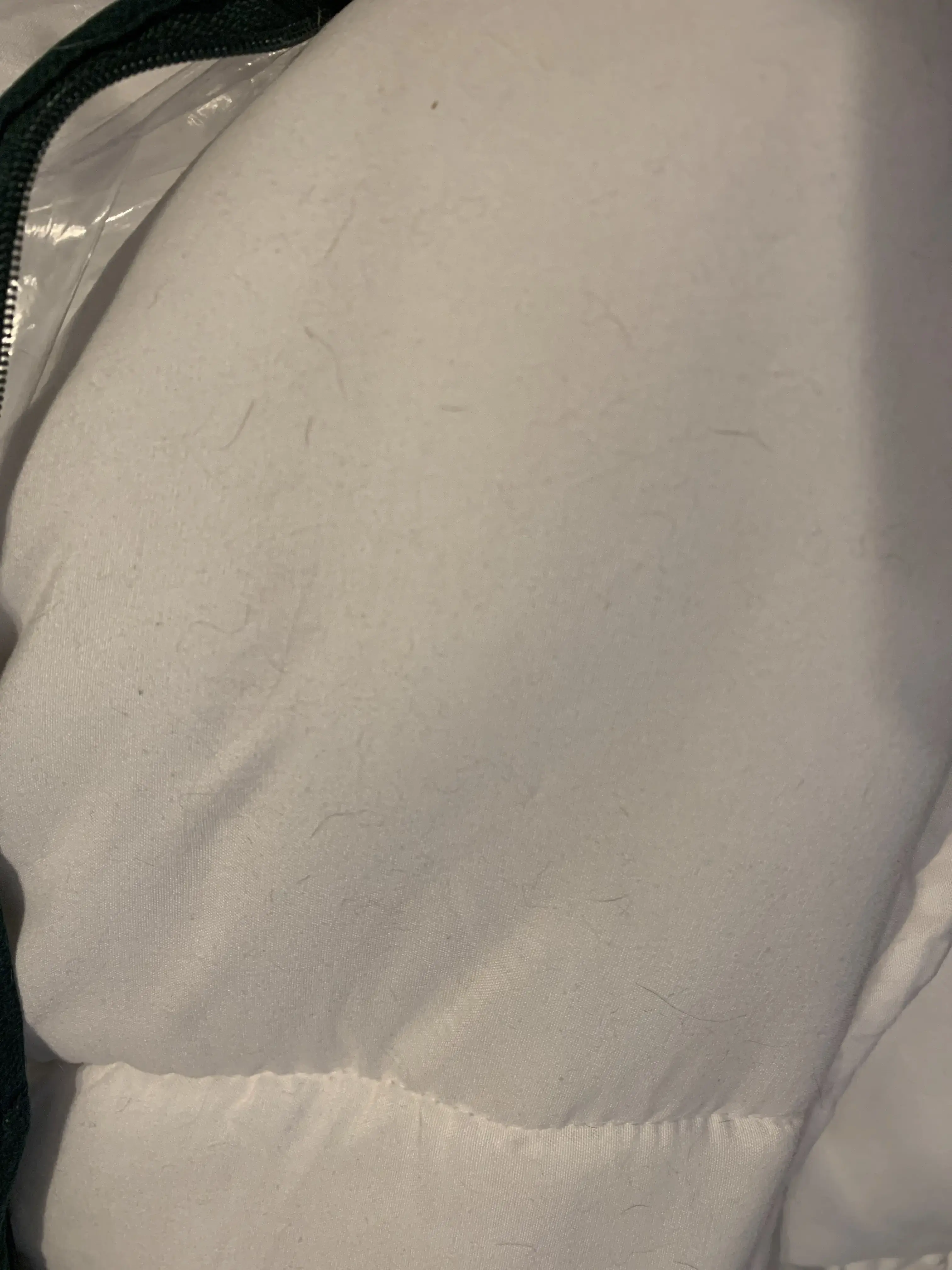 Long Cleaners thumbnail 9