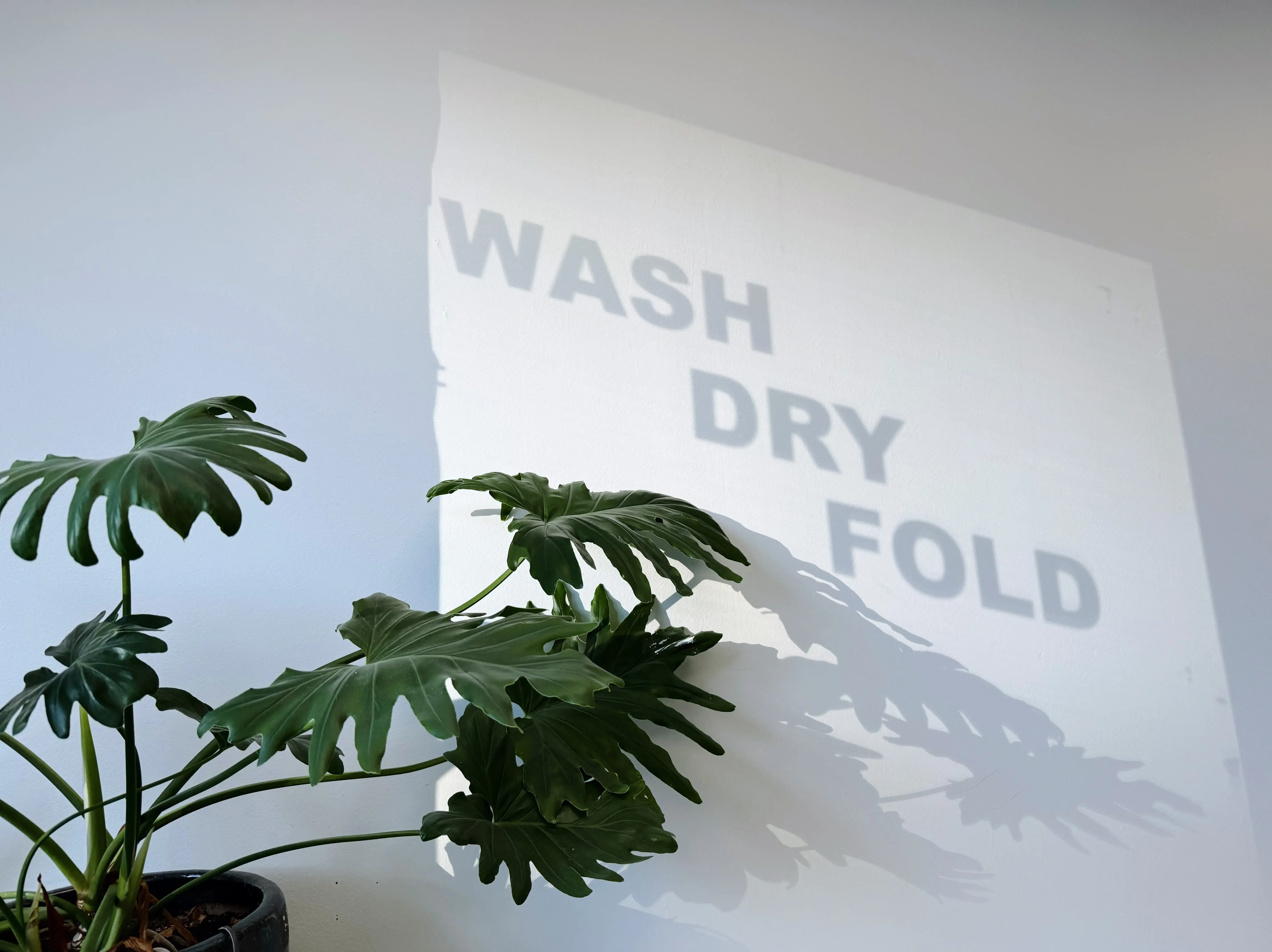 Lookin Good Laundromat thumbnail 8