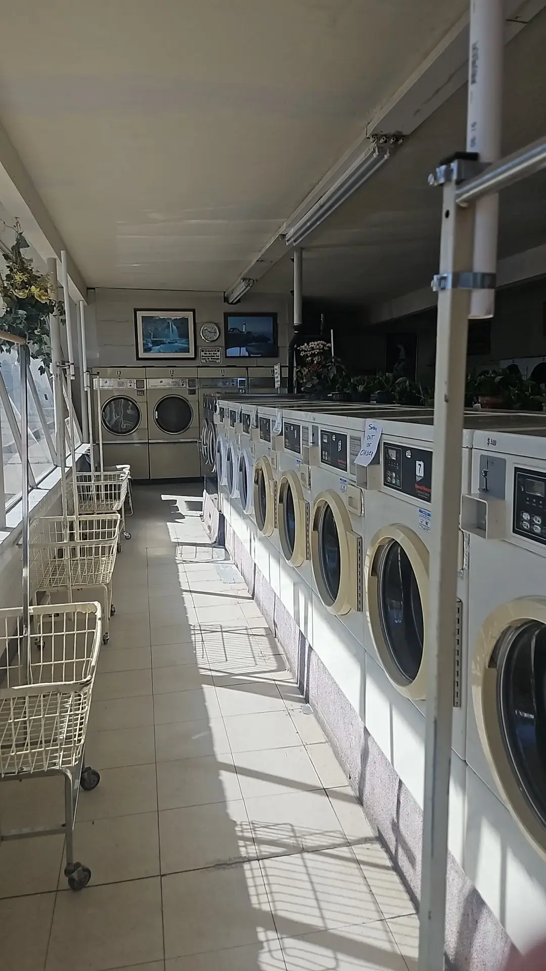 Lost Sock Laundry - Magna - Image 20