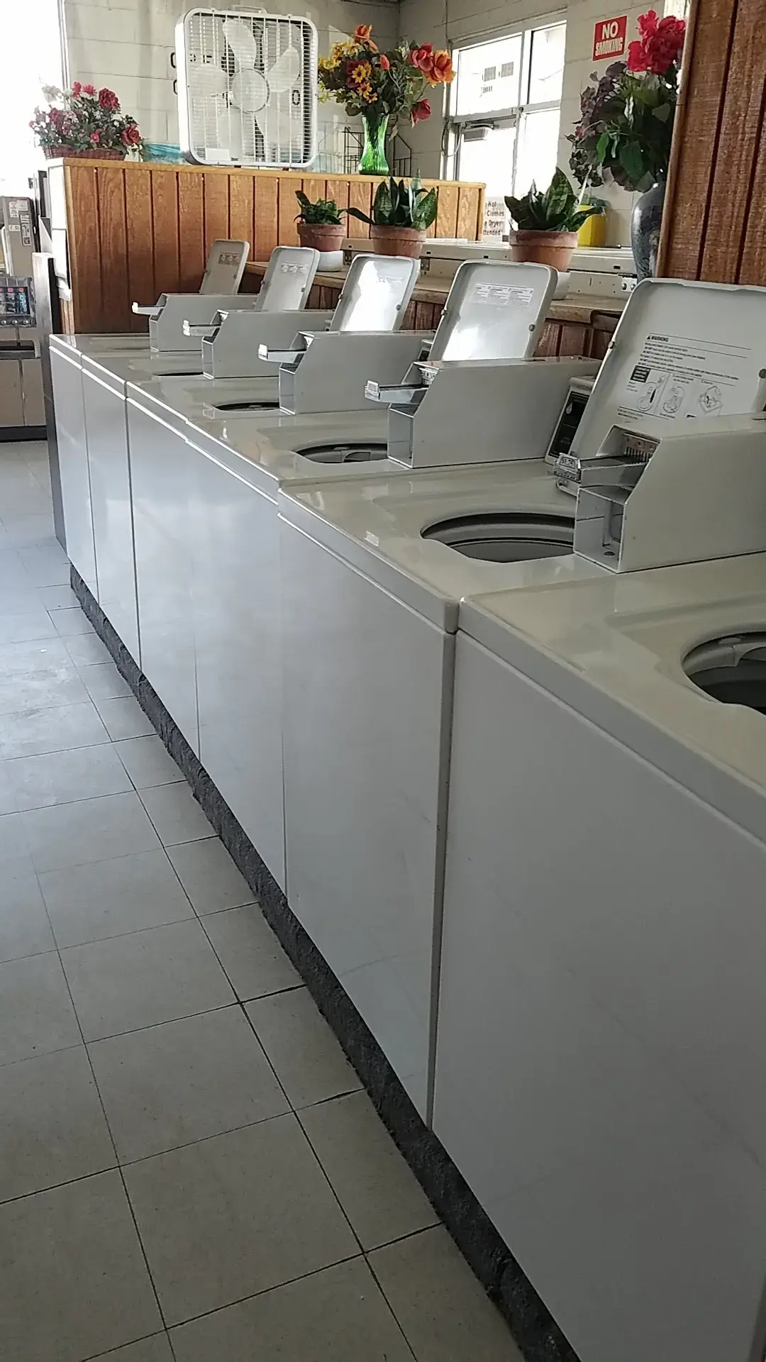 Lost Sock Laundry - Magna - Image 7