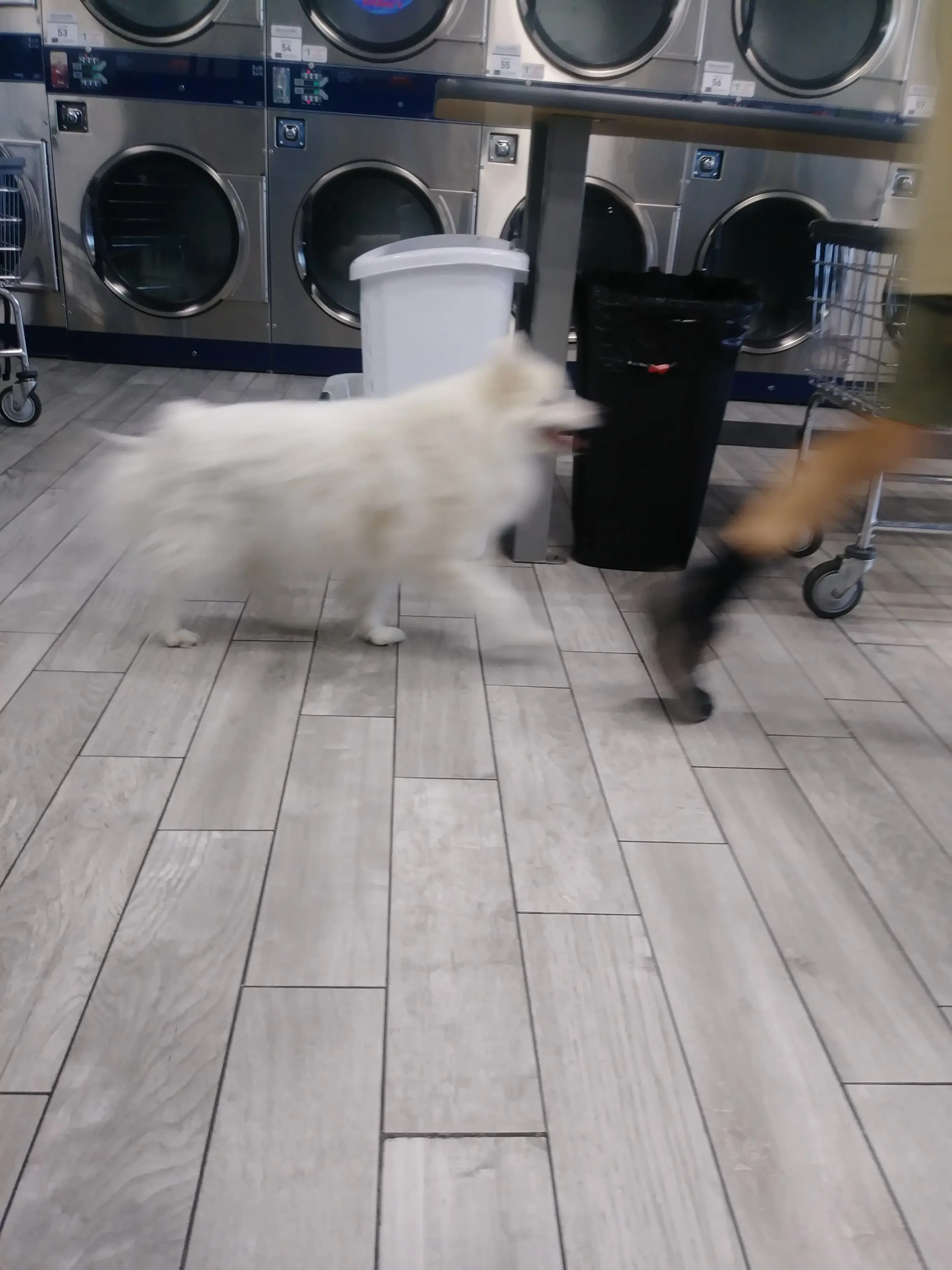 LOST SOCK LAUNDRY thumbnail 19