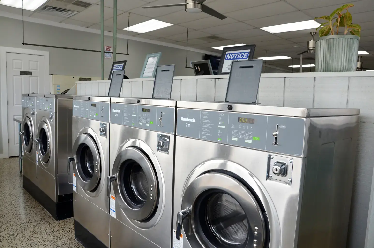 Lost Socks Laundry thumbnail 10