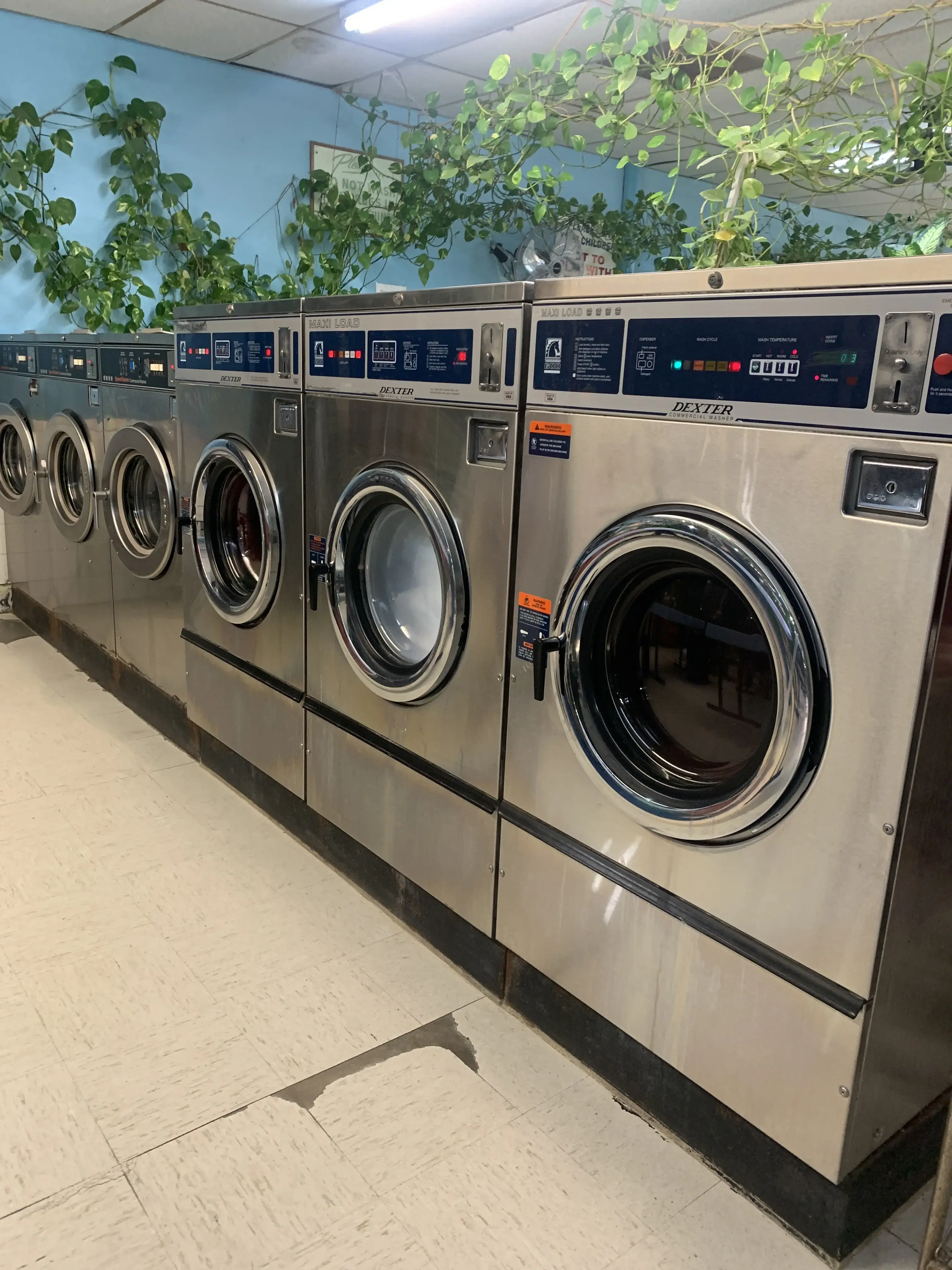 Louetta Washateria - Image 8