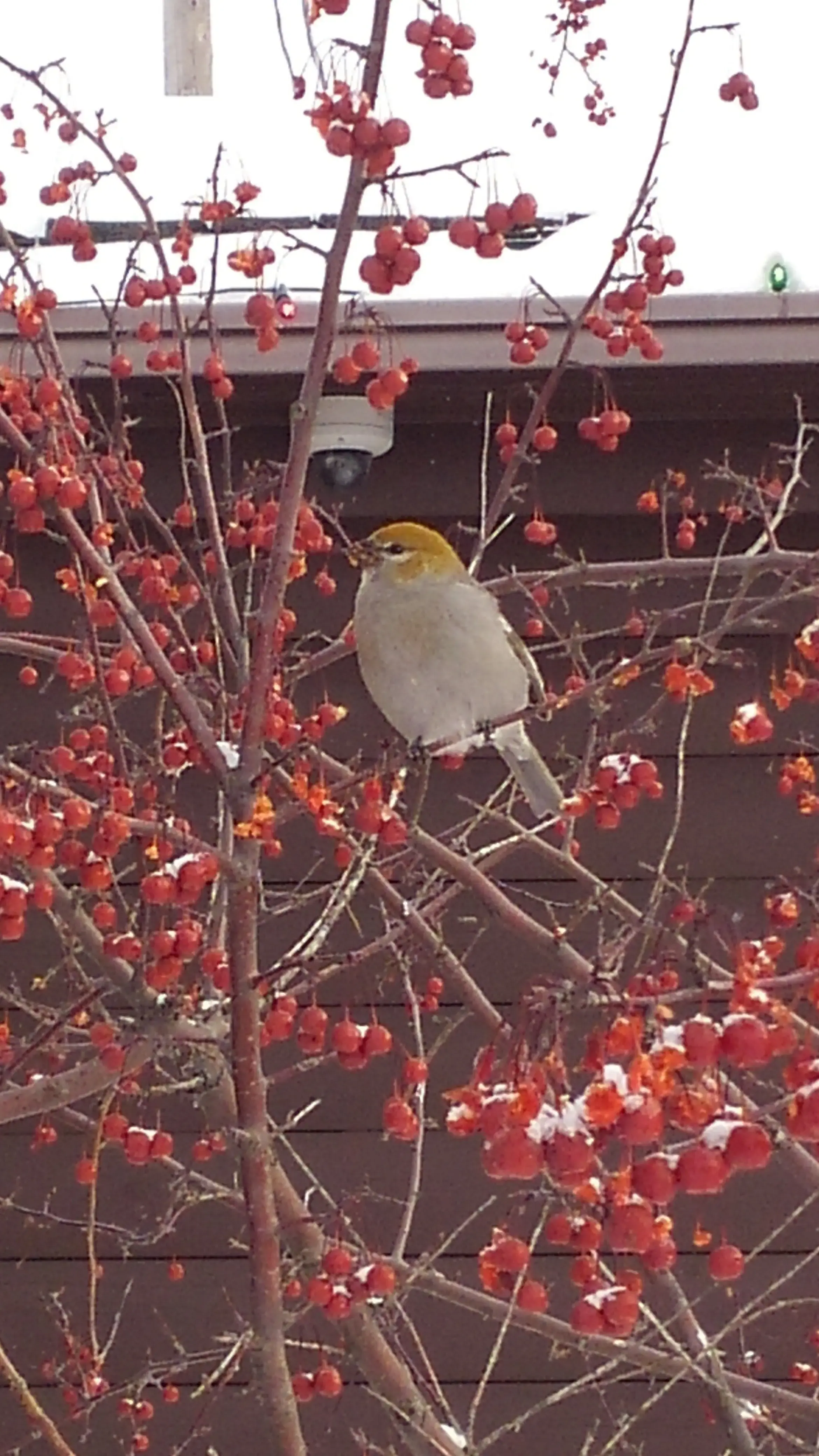 Love Laundry Company (formerly Longhandles) thumbnail 10