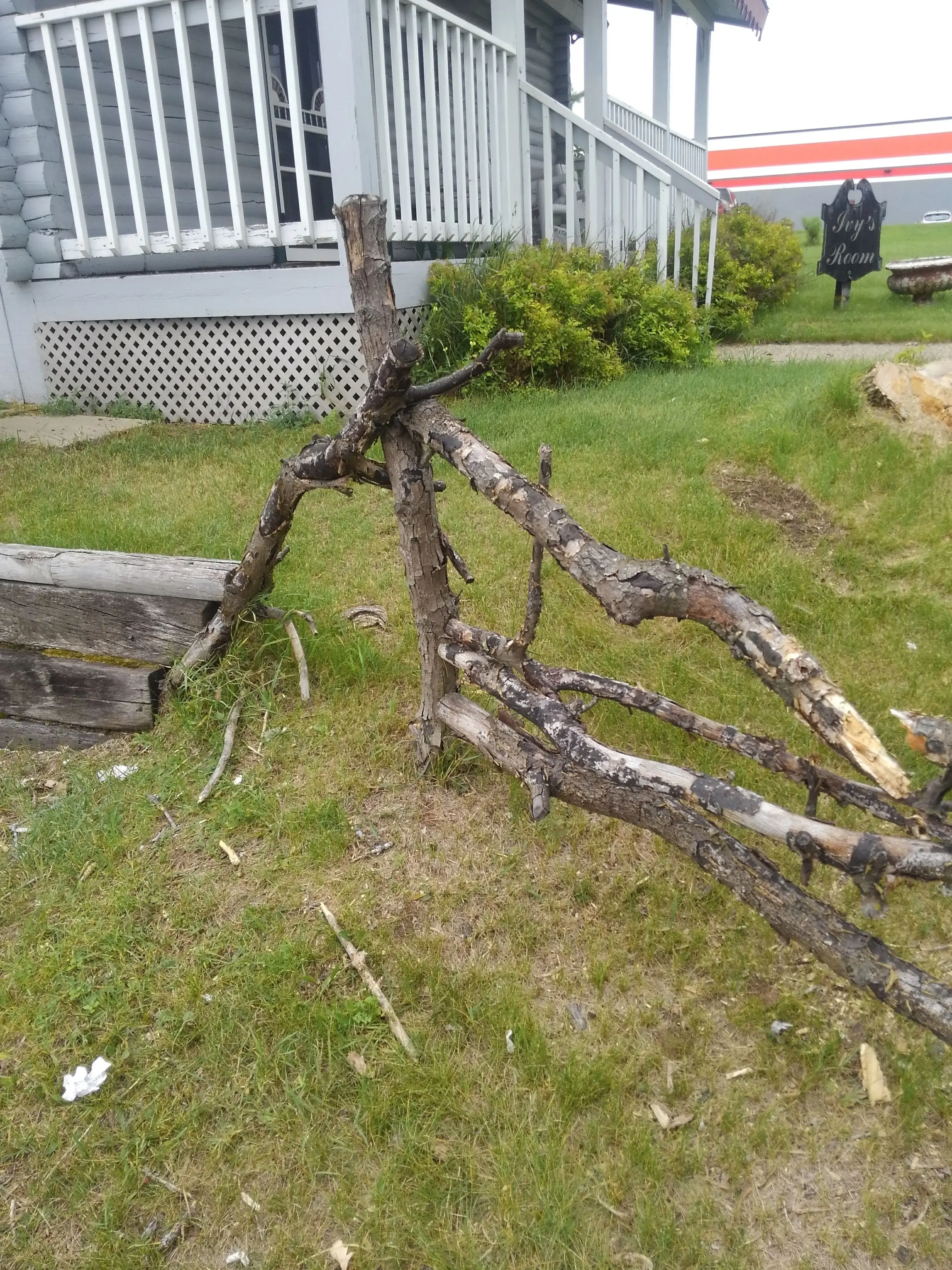 Love Laundry Company (formerly Longhandles) - Image 6