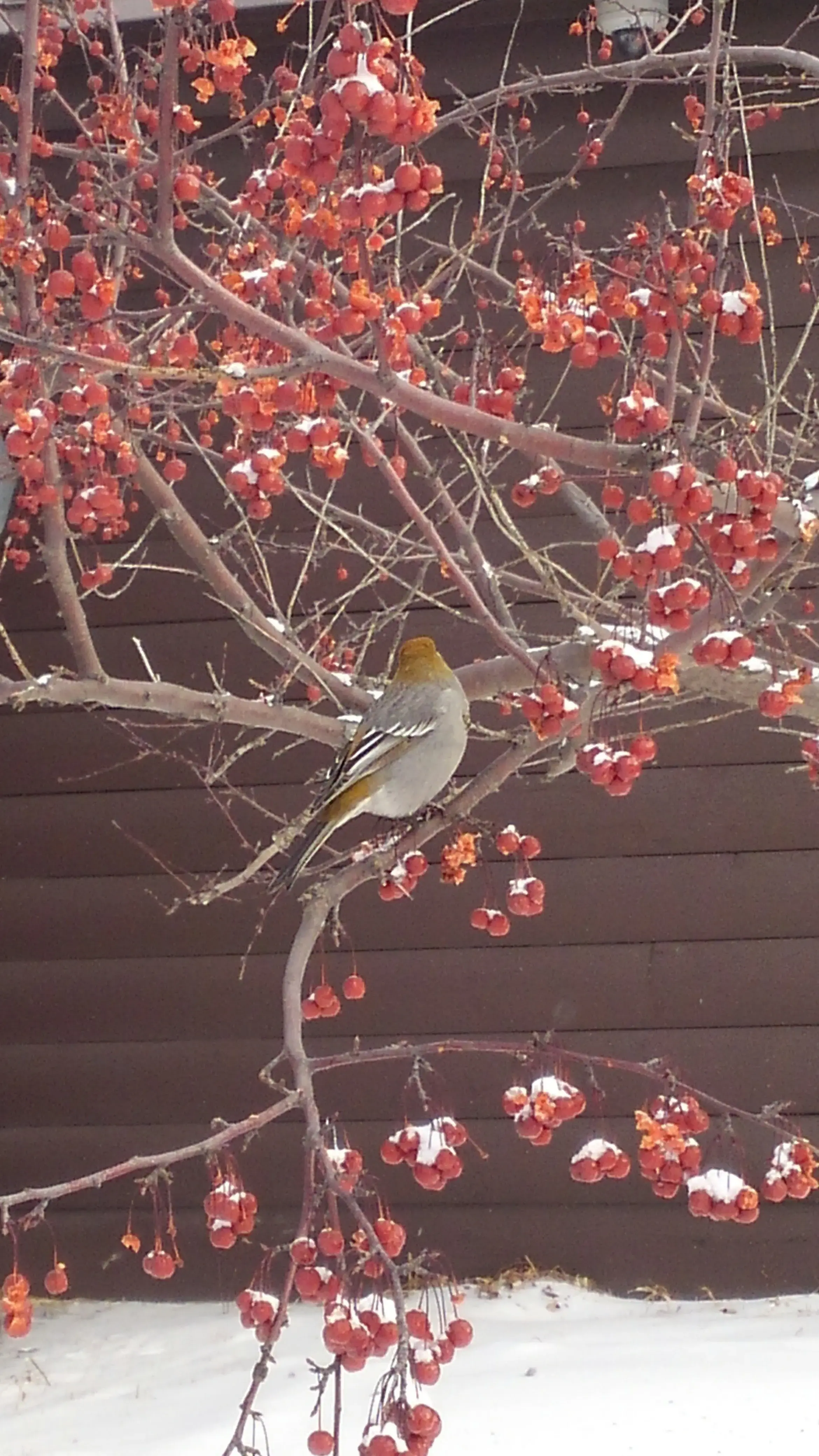 Love Laundry Company (formerly Longhandles) thumbnail 8