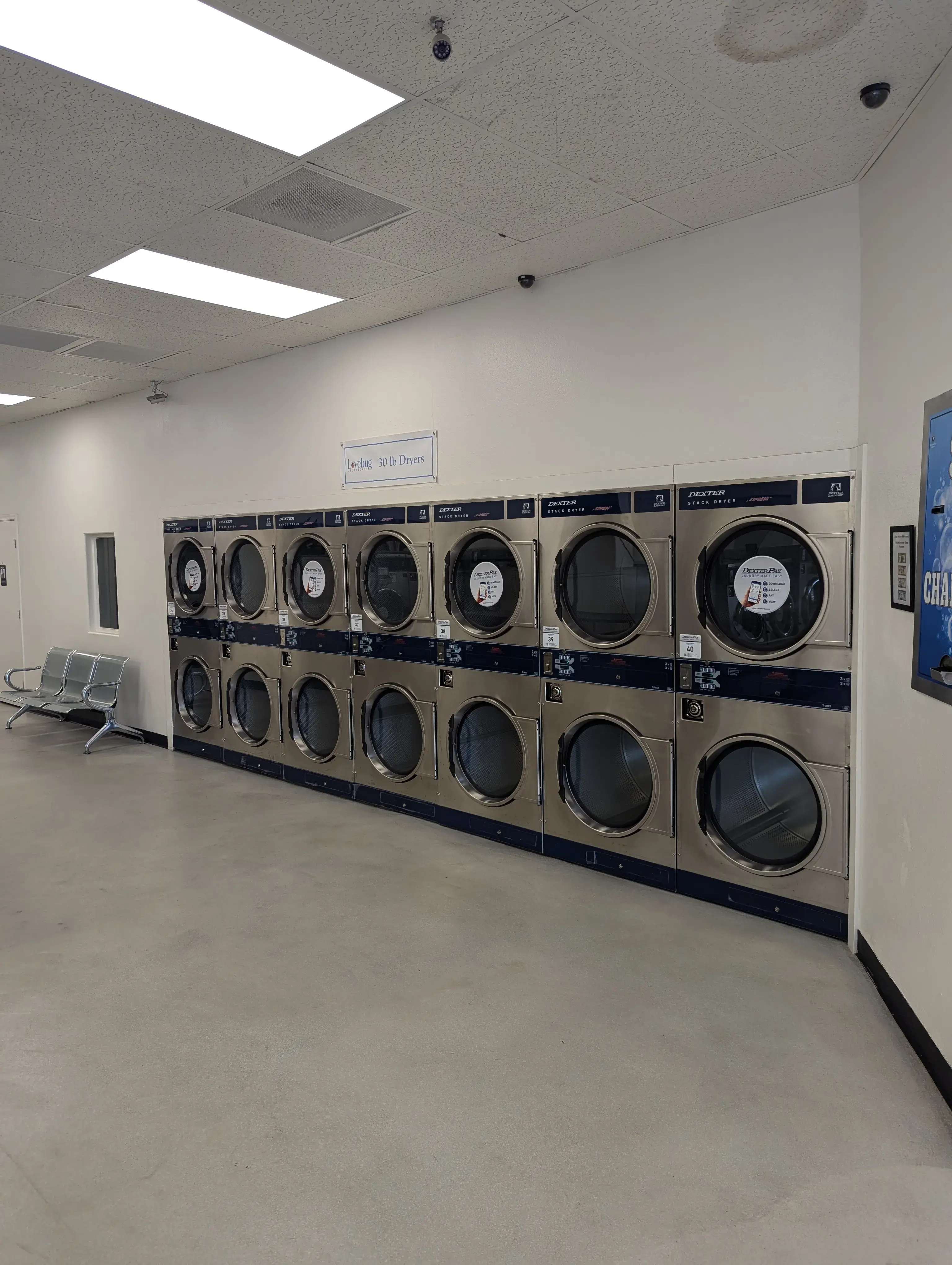 Lovebug Laundromat - Image 4