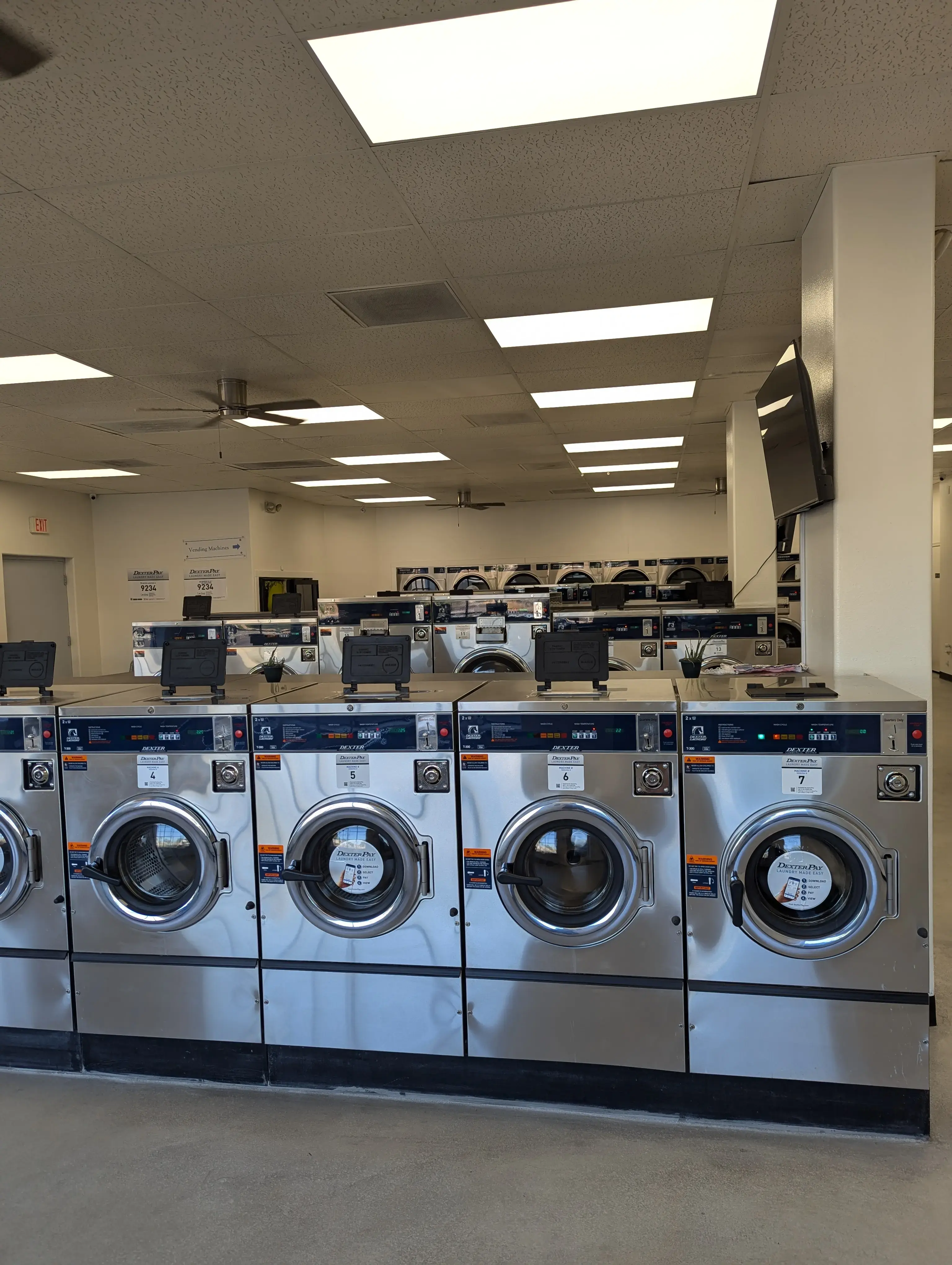 Lovebug Laundromat thumbnail 3