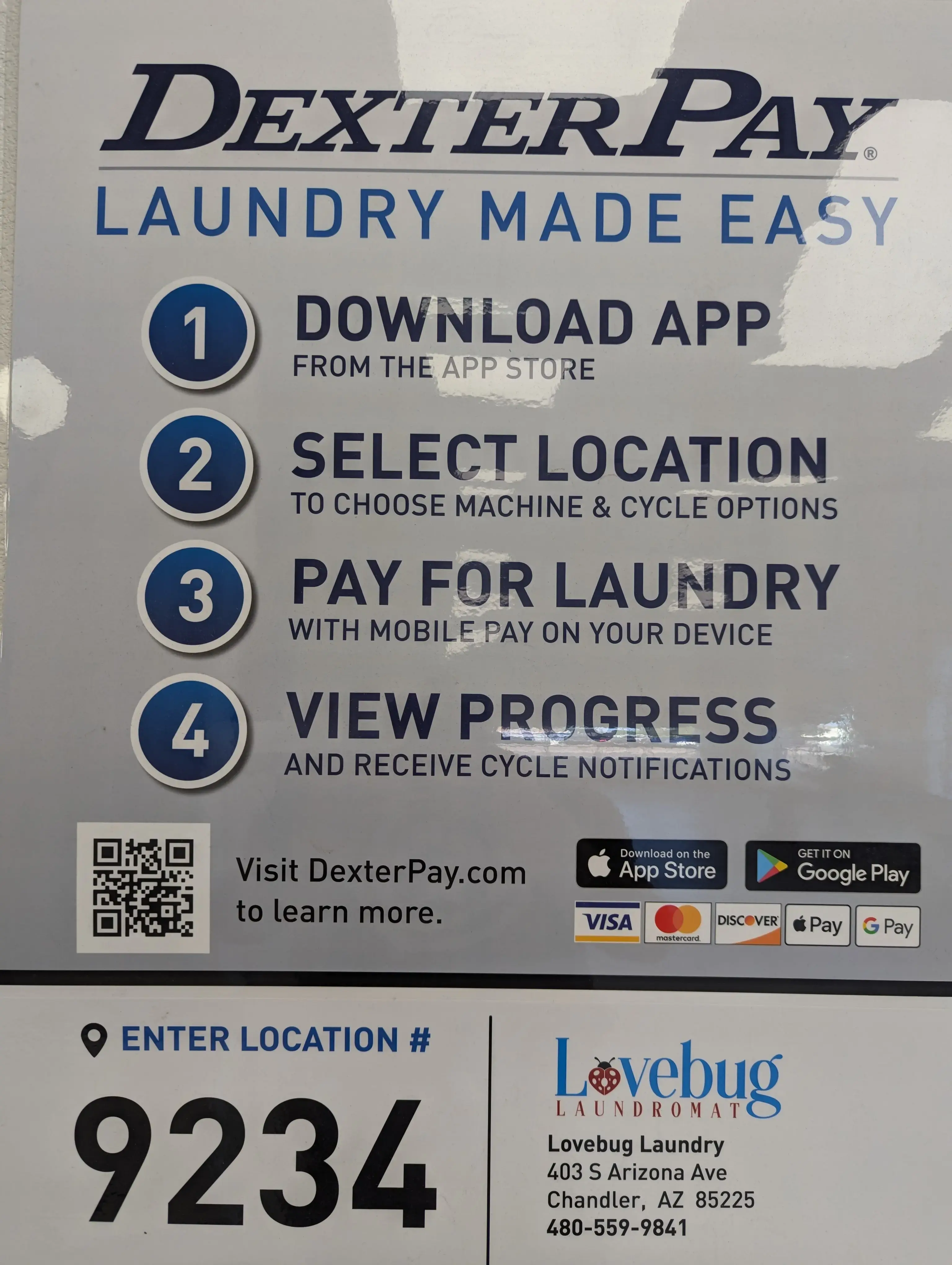 Lovebug Laundromat thumbnail 6