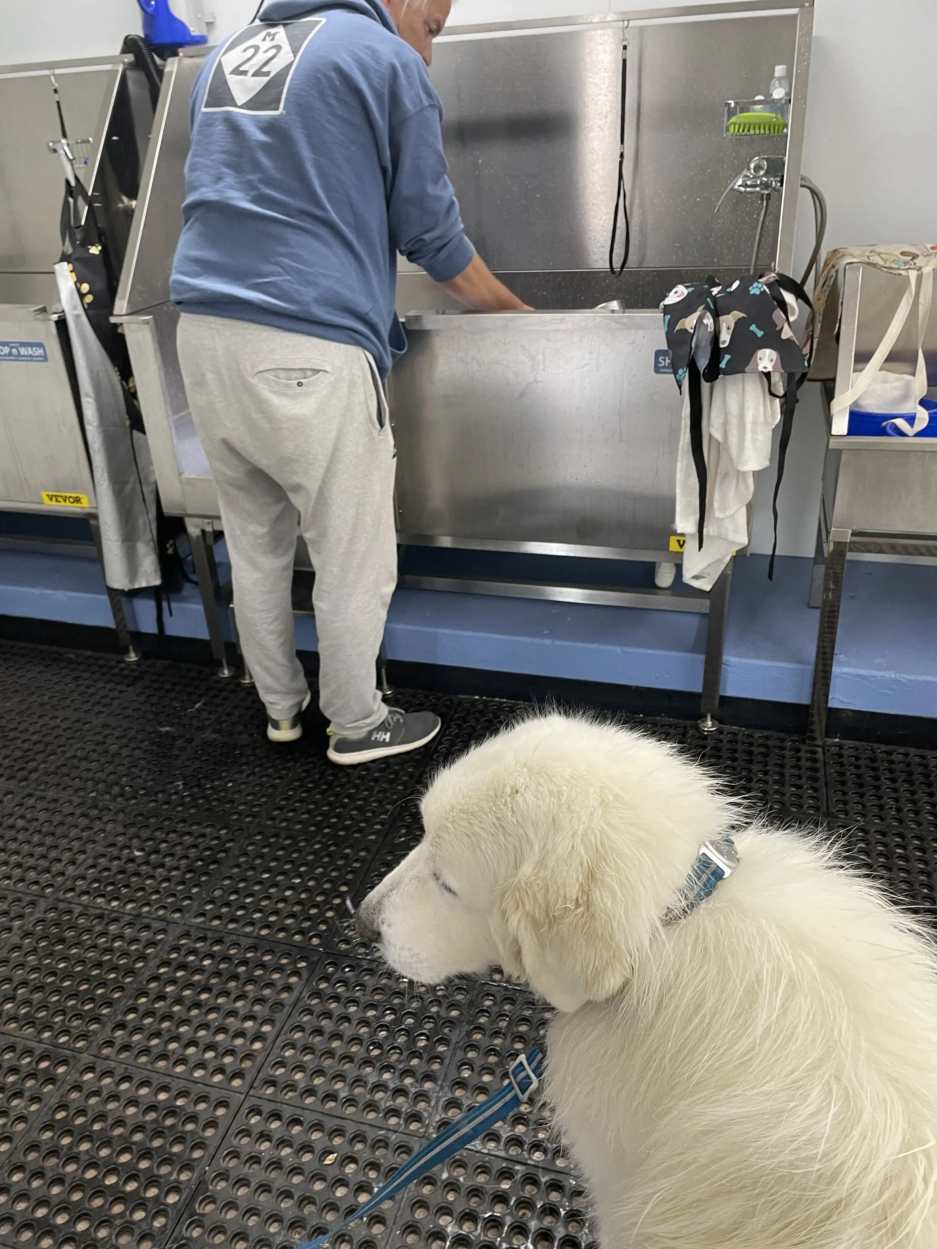 Loveland Shop n Wash - Image 16