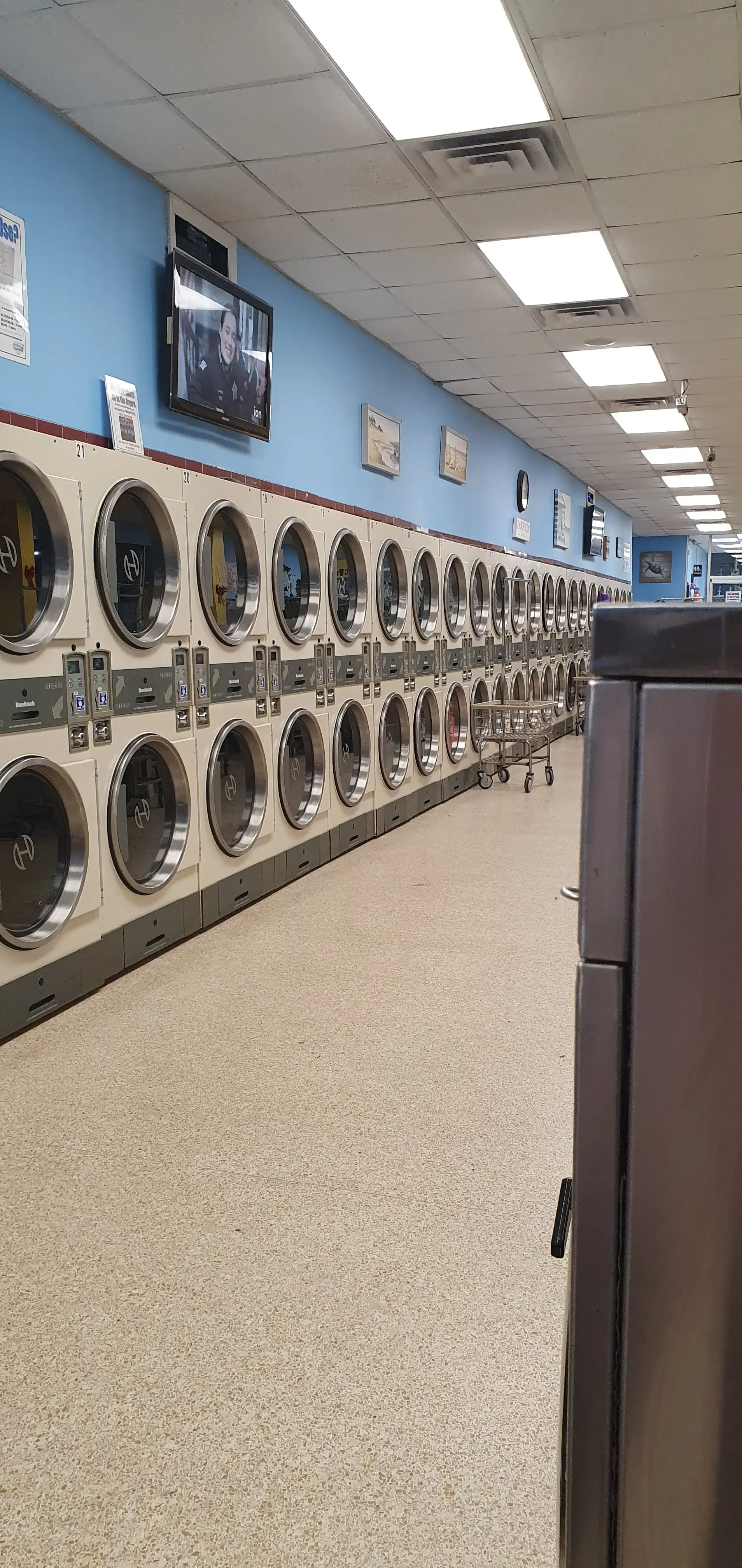 Lovely Laundry thumbnail 17