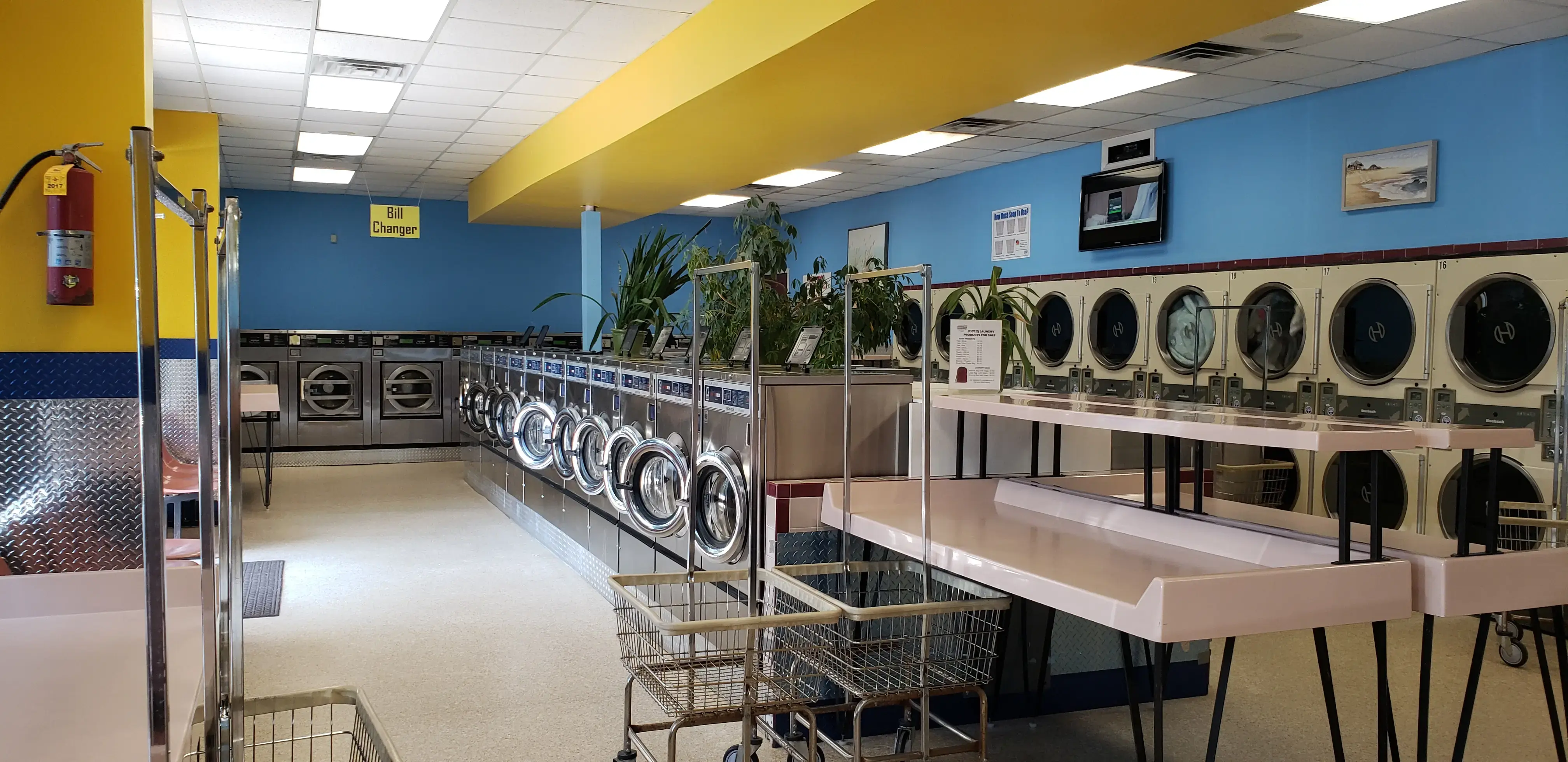 Lovely Laundry thumbnail 13