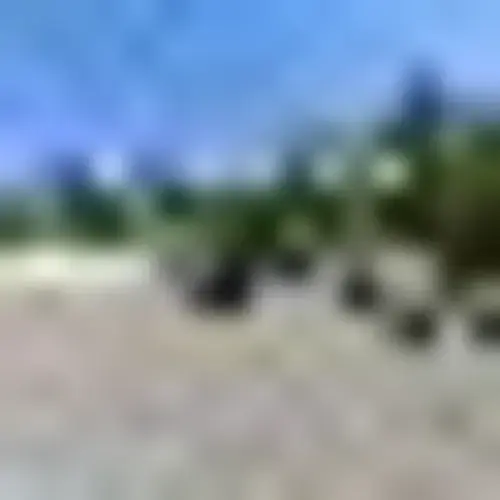 Lovingston Laundry Land Laundromat thumbnail 5