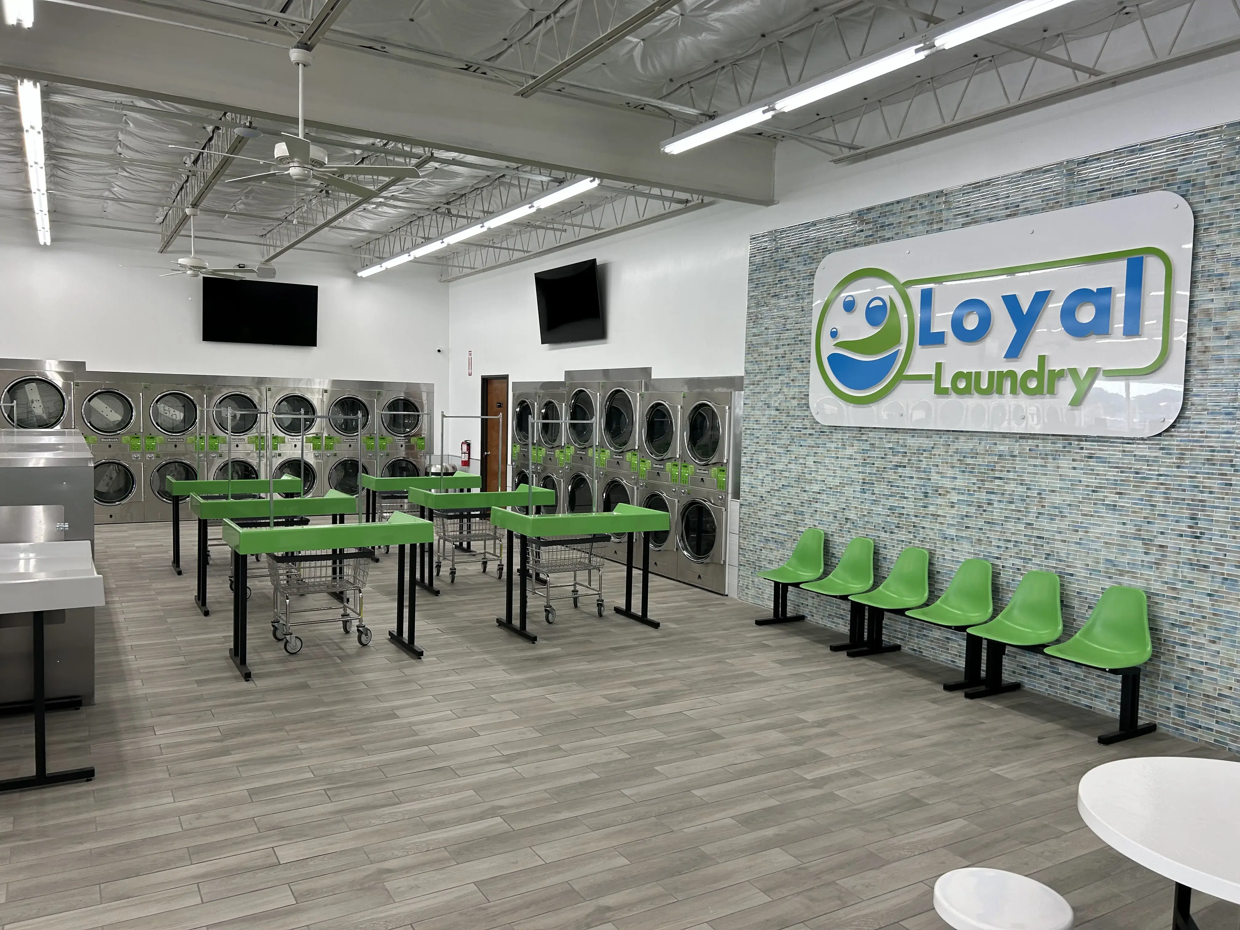 Loyal Laundry Camp Bowie thumbnail 18